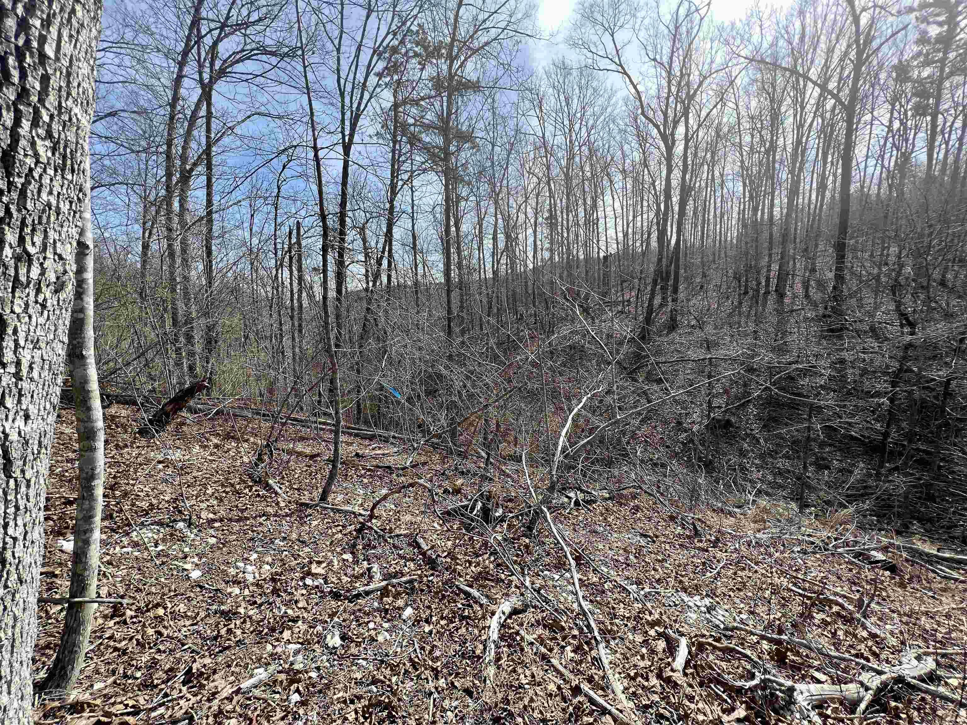 Tract 4  Ramblewood Trail  Yellville, AR