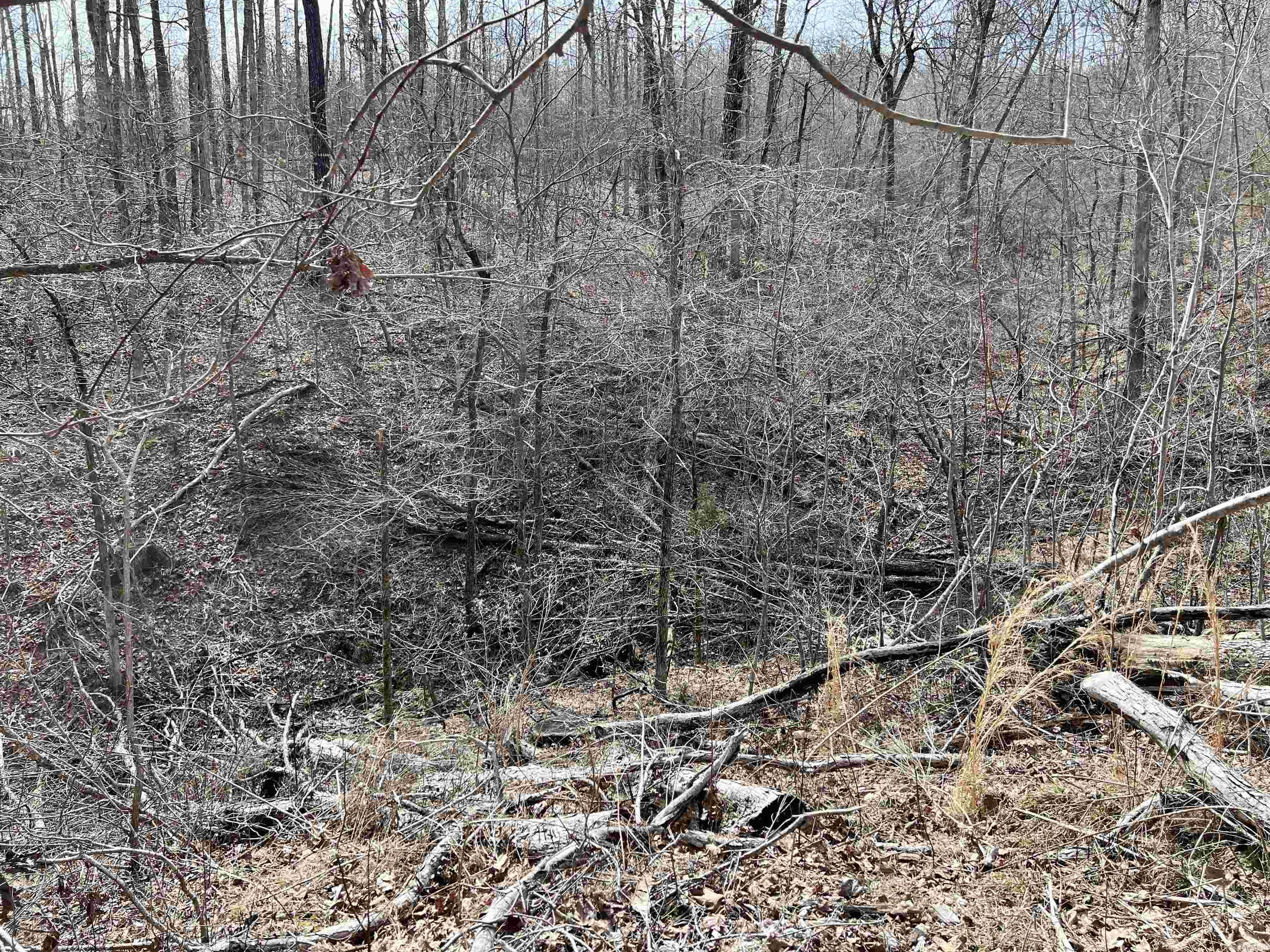 Tract 4  Ramblewood Trail  Yellville, AR