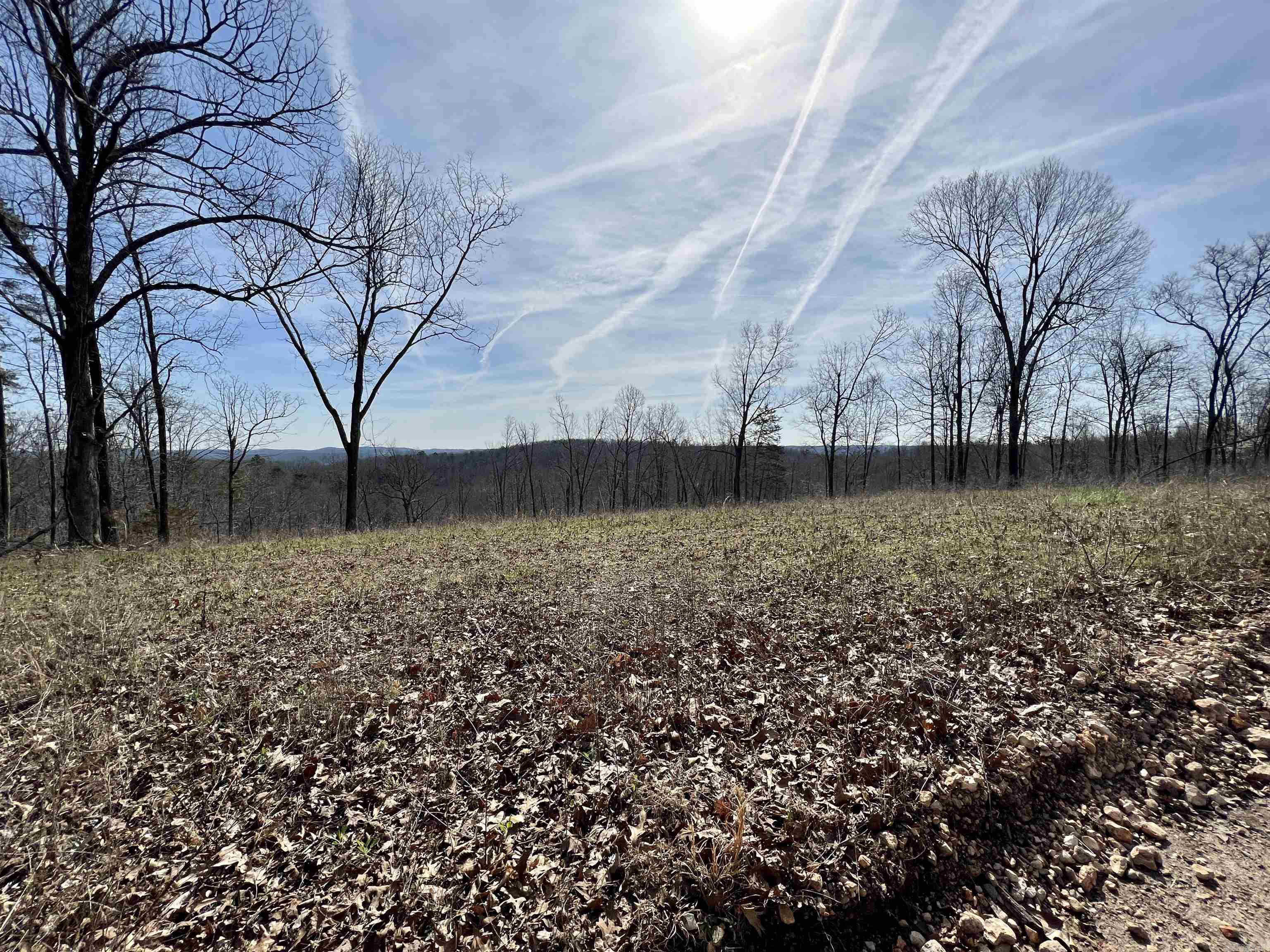 Tract 4  Ramblewood Trail  Yellville, AR