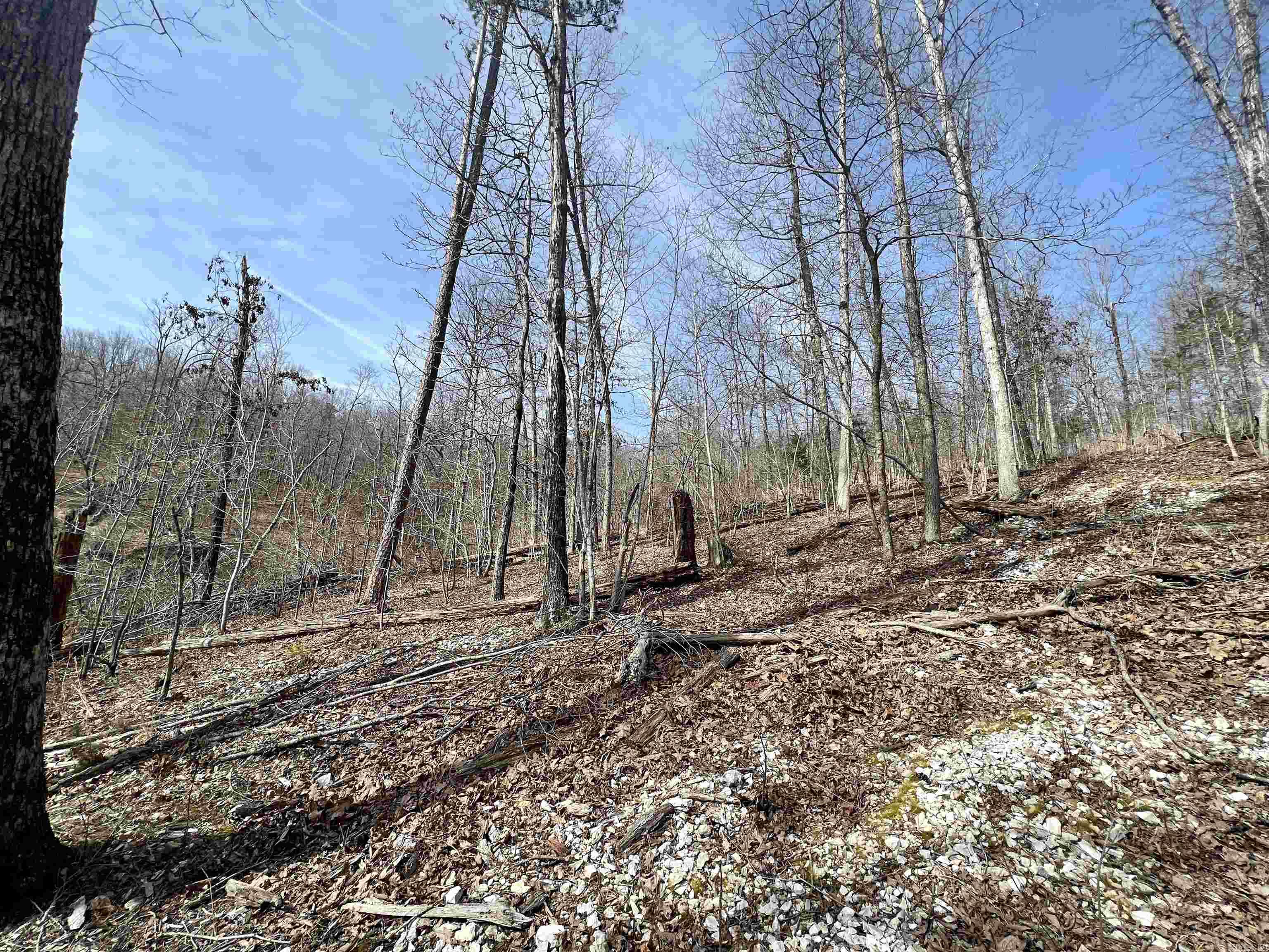 Tract 4  Ramblewood Trail  Yellville, AR