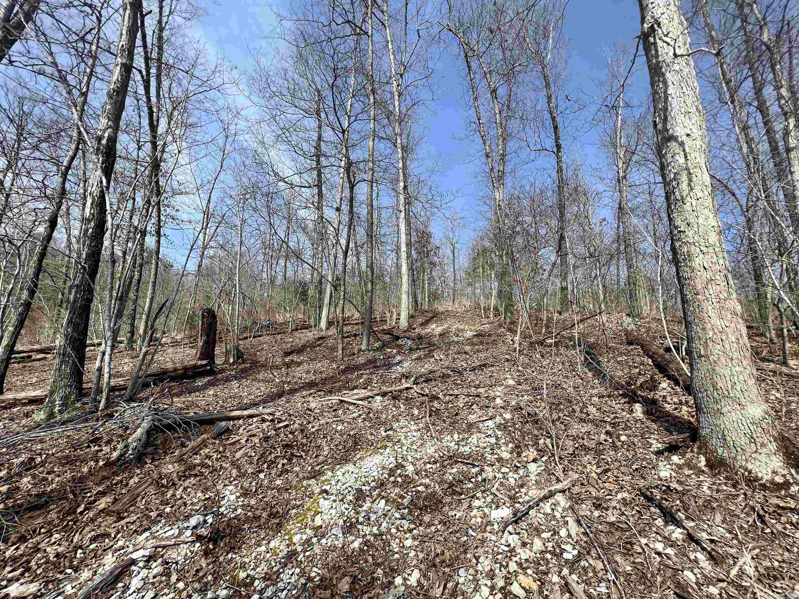 Tract 4  Ramblewood Trail  Yellville, AR