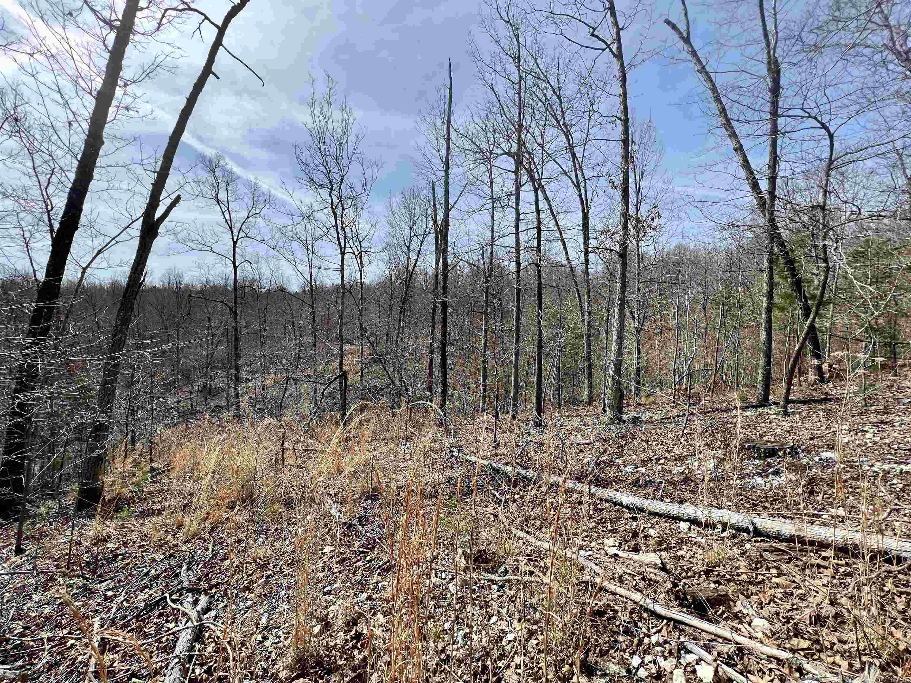 Tract 4  Ramblewood Trail  Yellville, AR