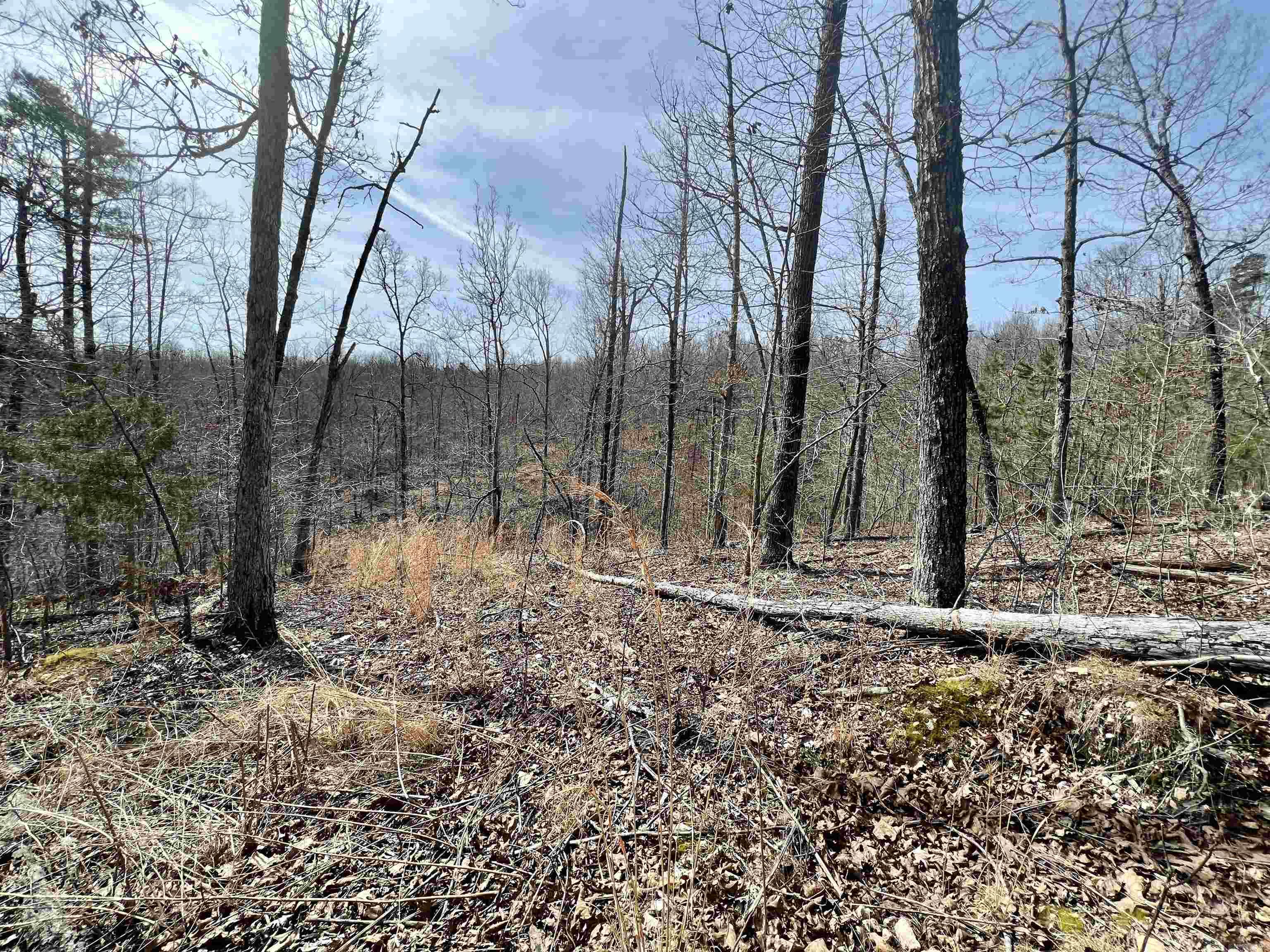 Tract 4  Ramblewood Trail  Yellville, AR