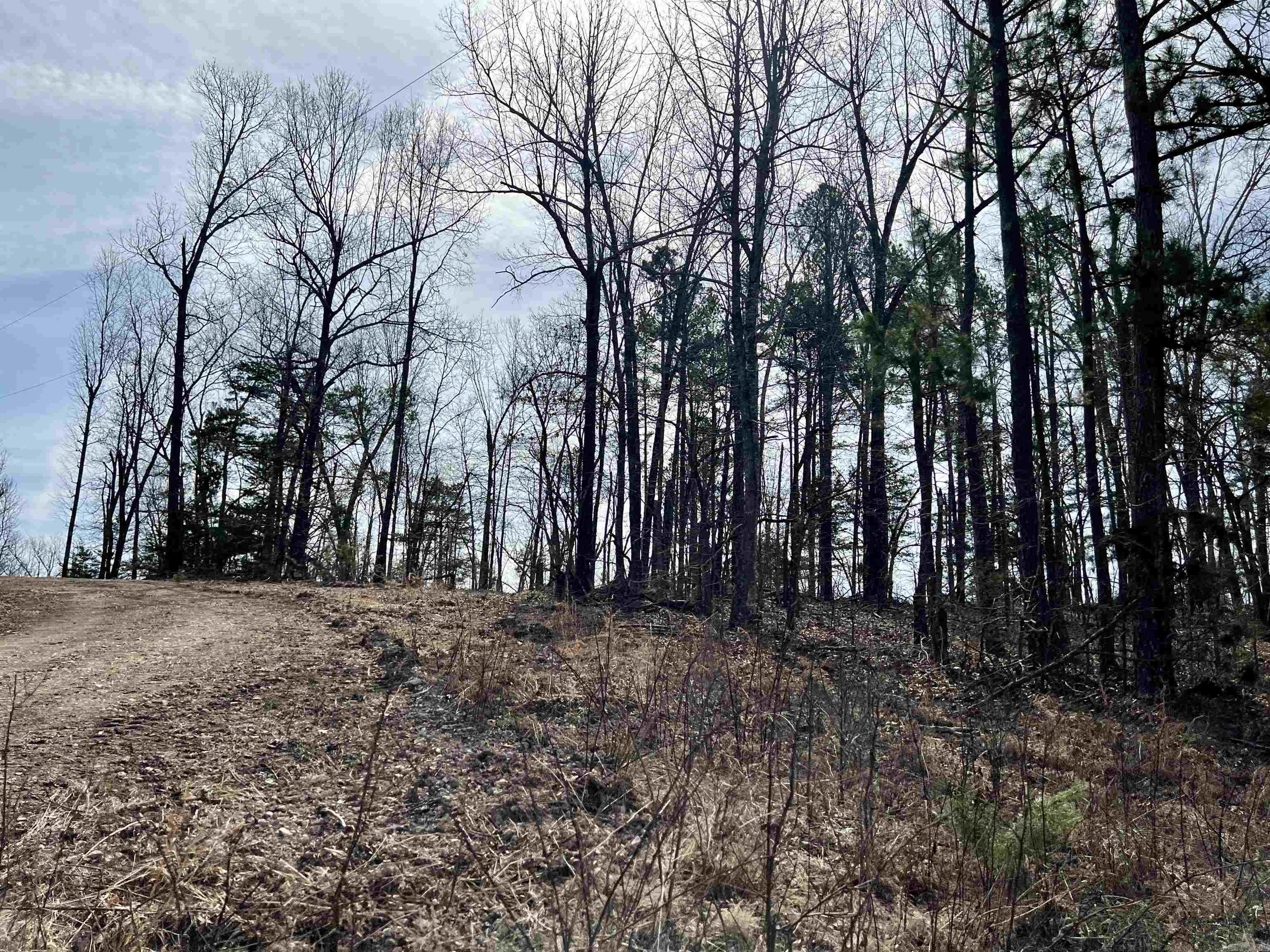 Tract 4  Ramblewood Trail  Yellville, AR
