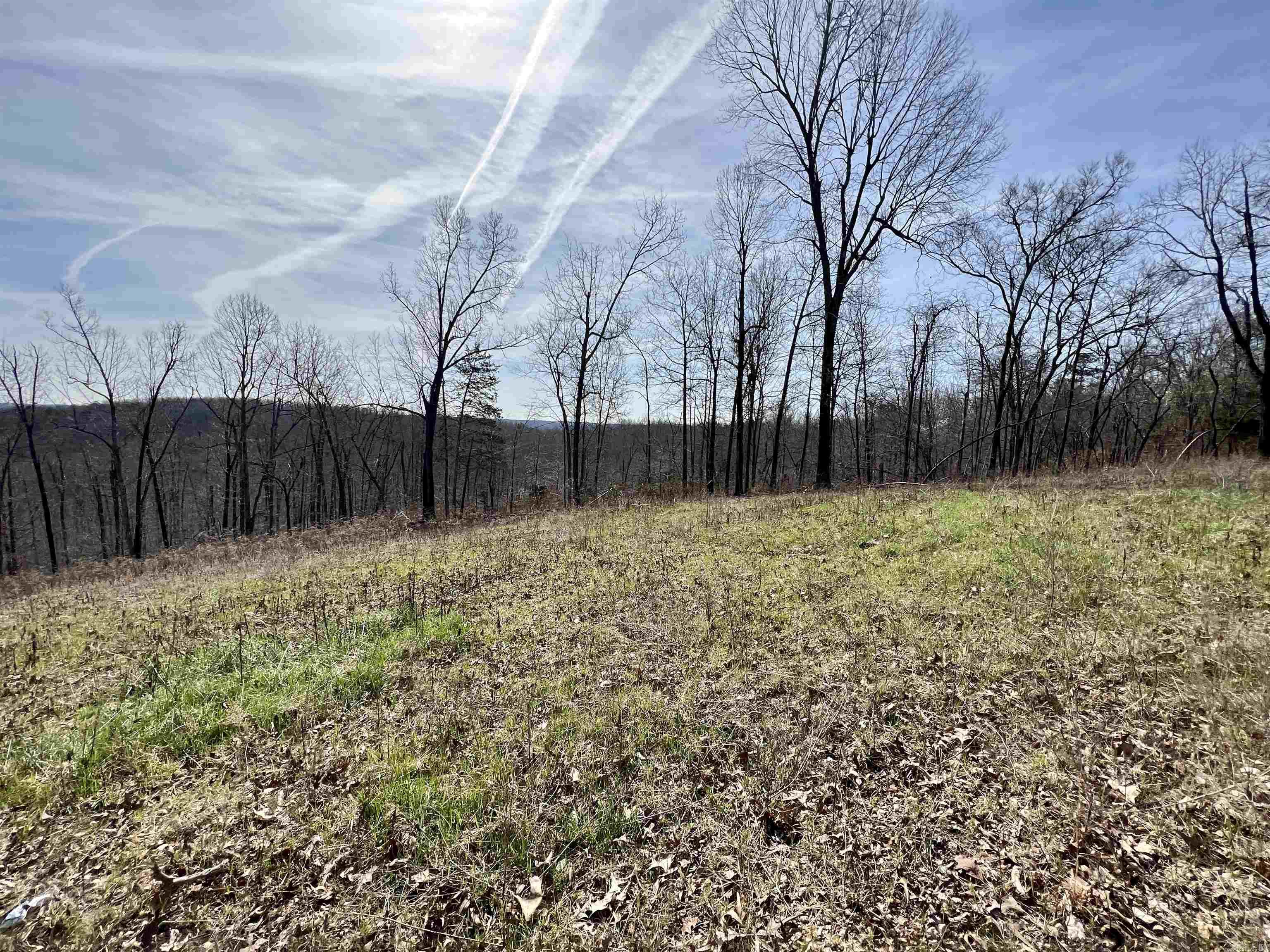 Tract 4  Ramblewood Trail  Yellville, AR