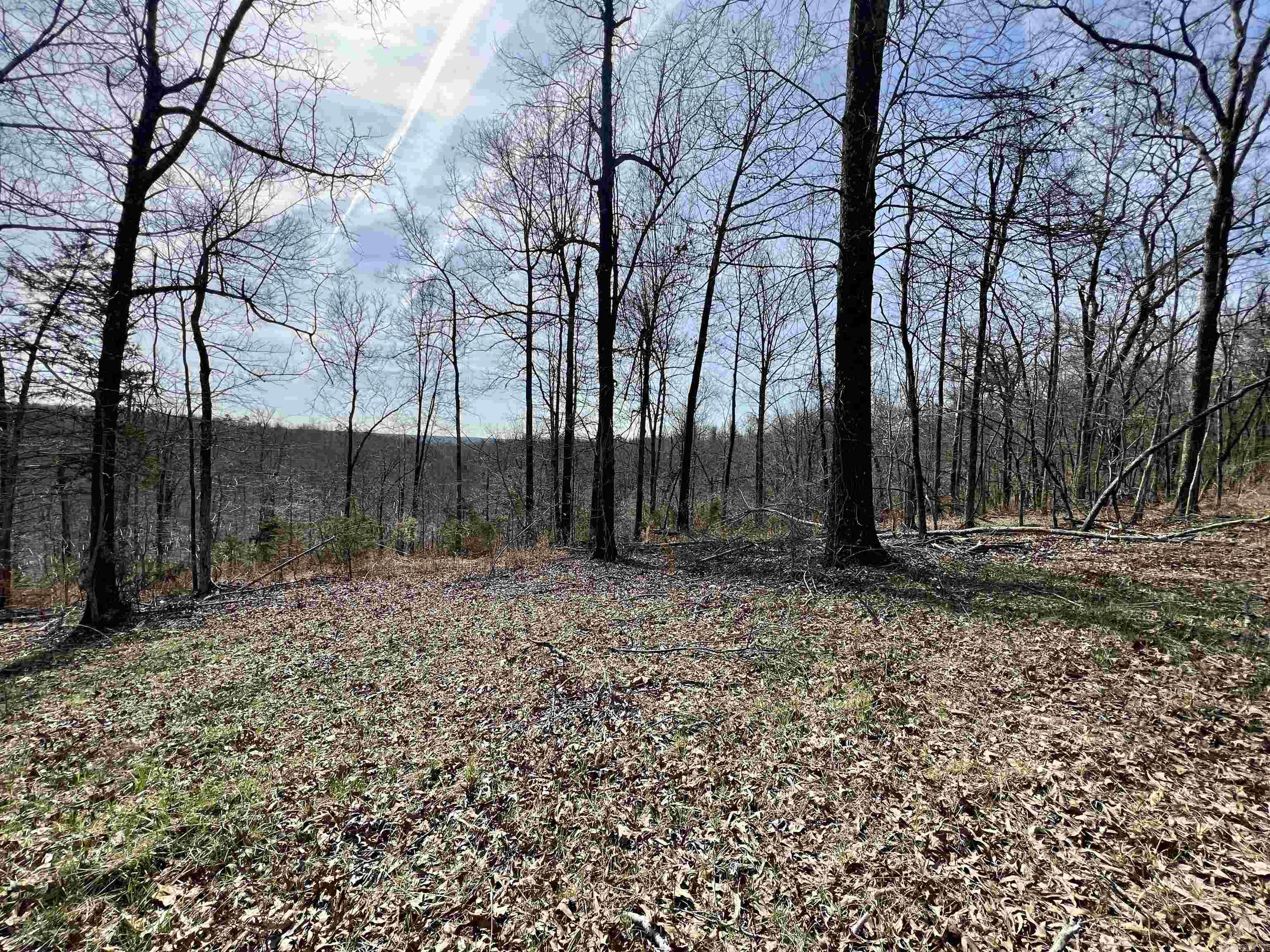Tract 4  Ramblewood Trail  Yellville, AR