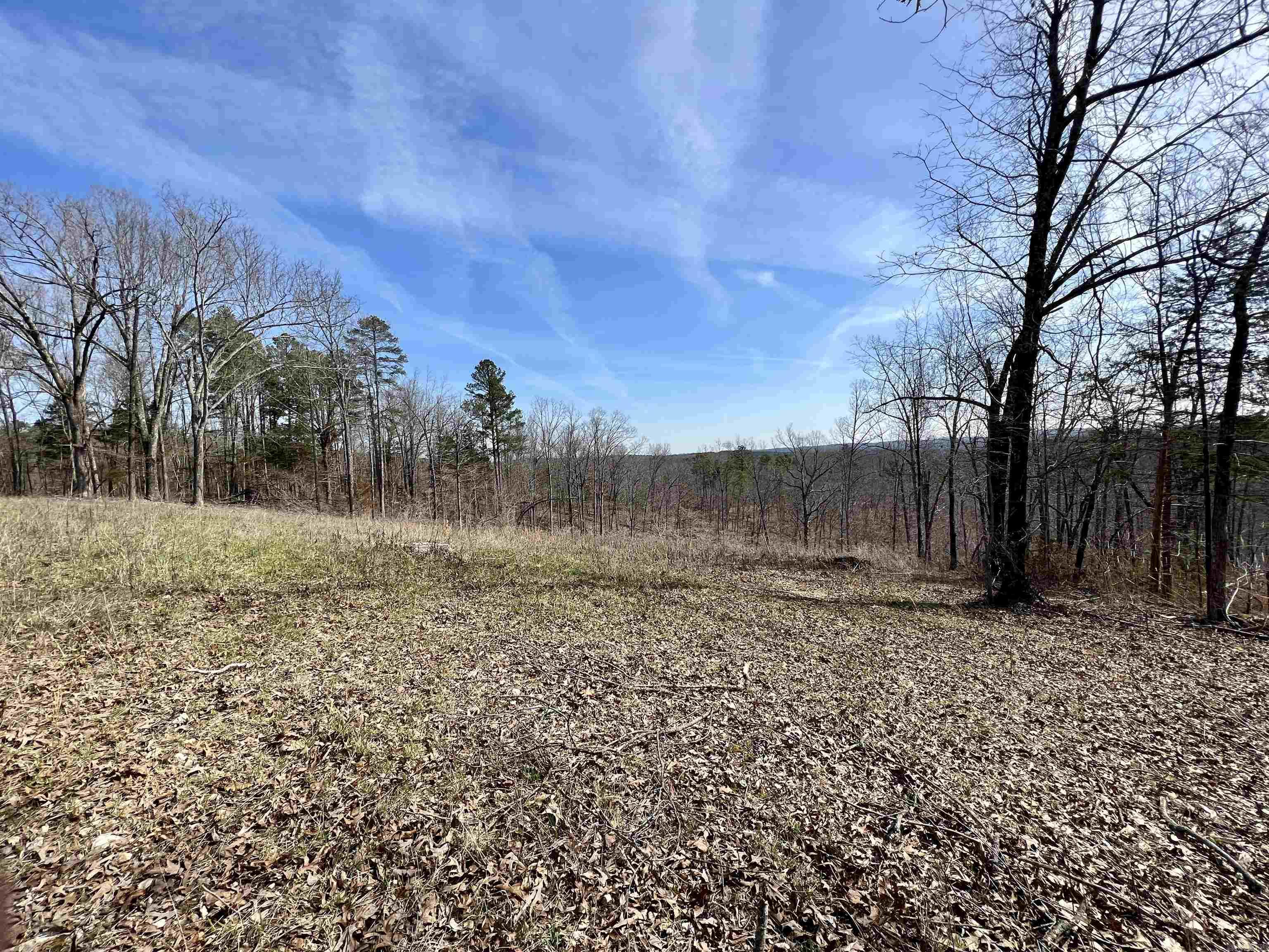 Tract 4  Ramblewood Trail  Yellville, AR