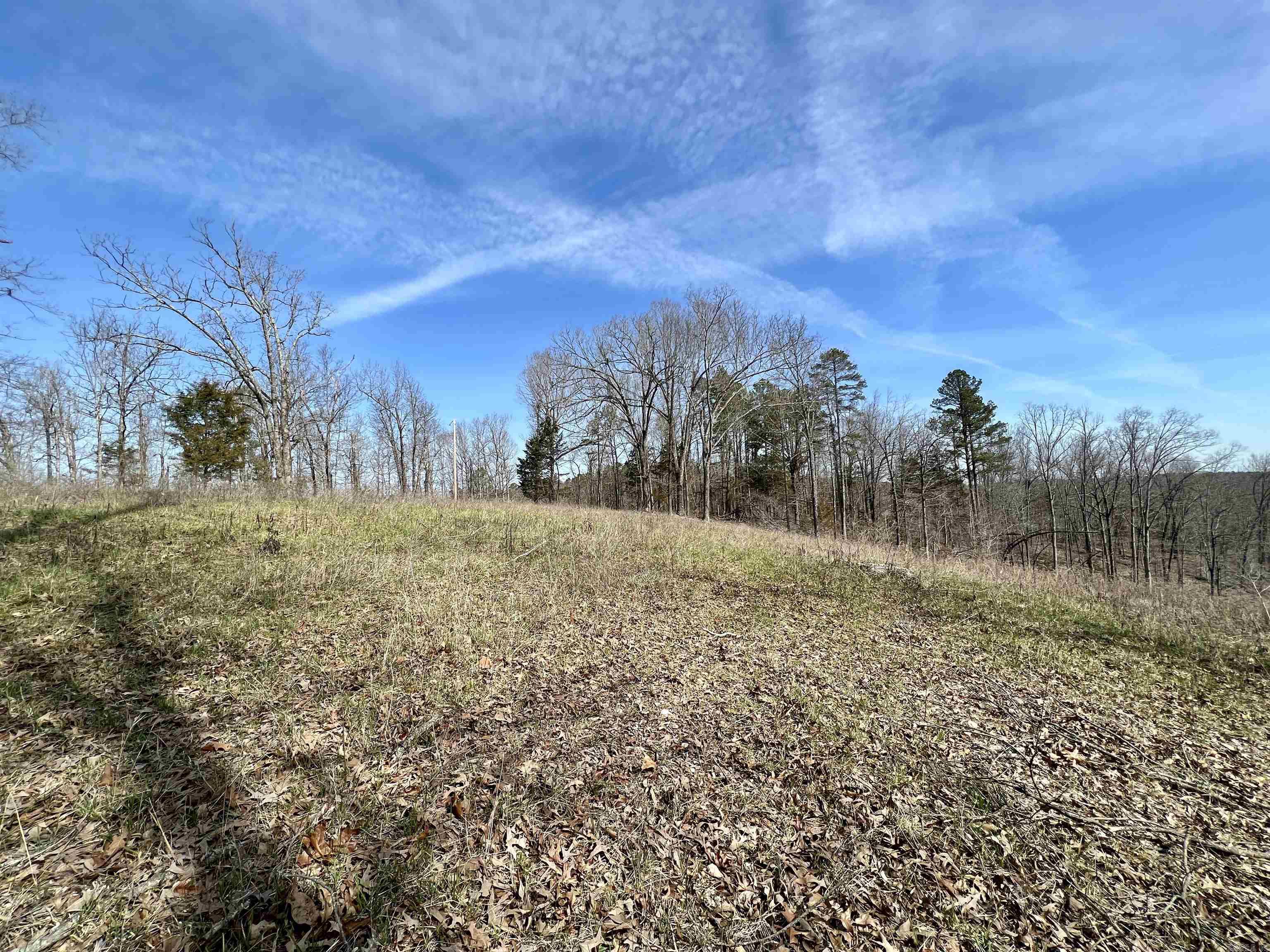 Tract 4  Ramblewood Trail  Yellville, AR