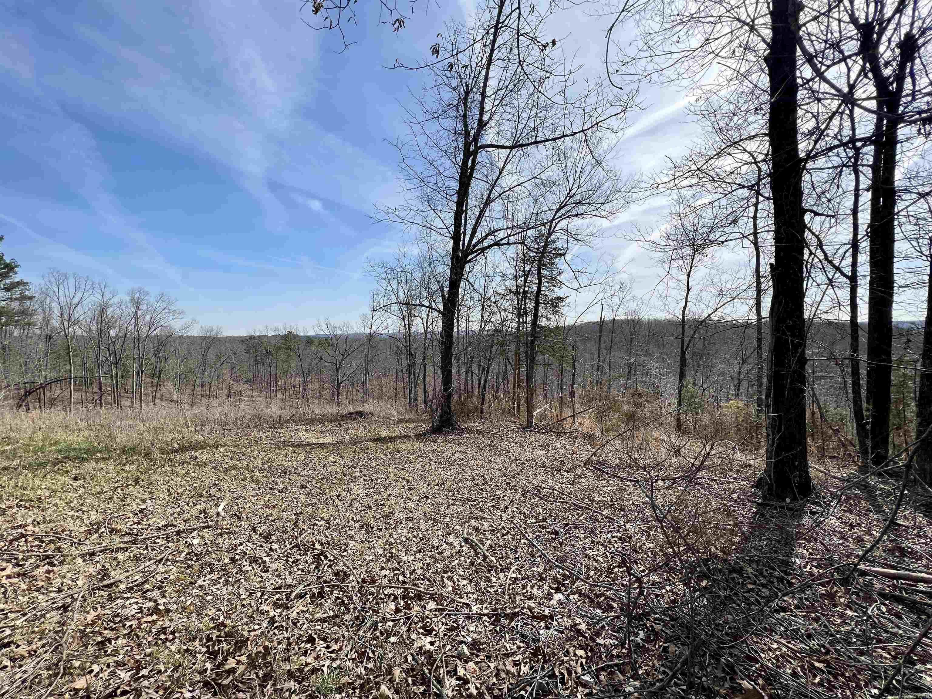 Tract 4  Ramblewood Trail  Yellville, AR