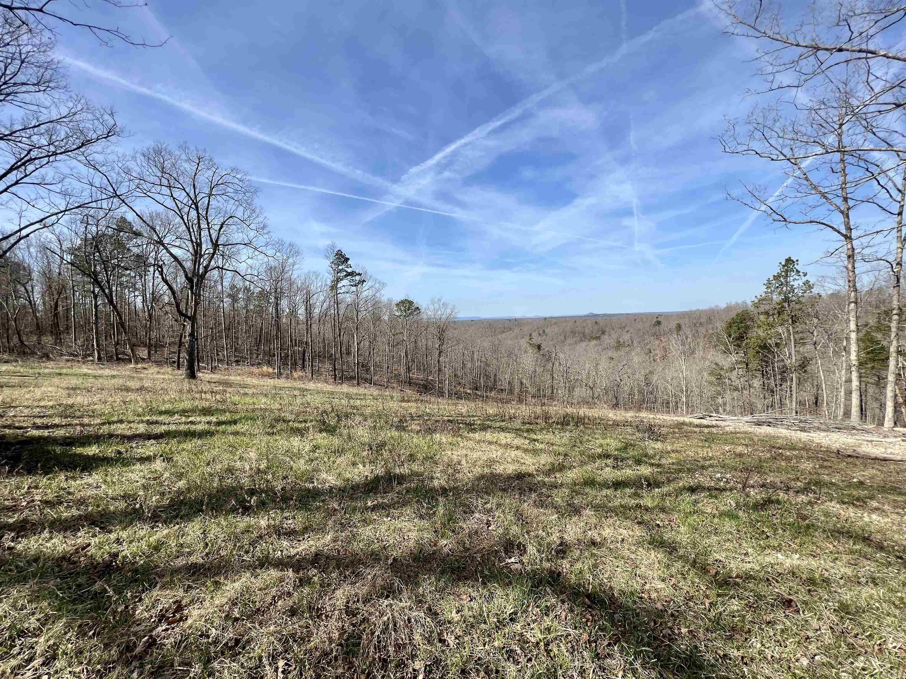 Tract 5  Ramblewood Trail  Yellville, AR