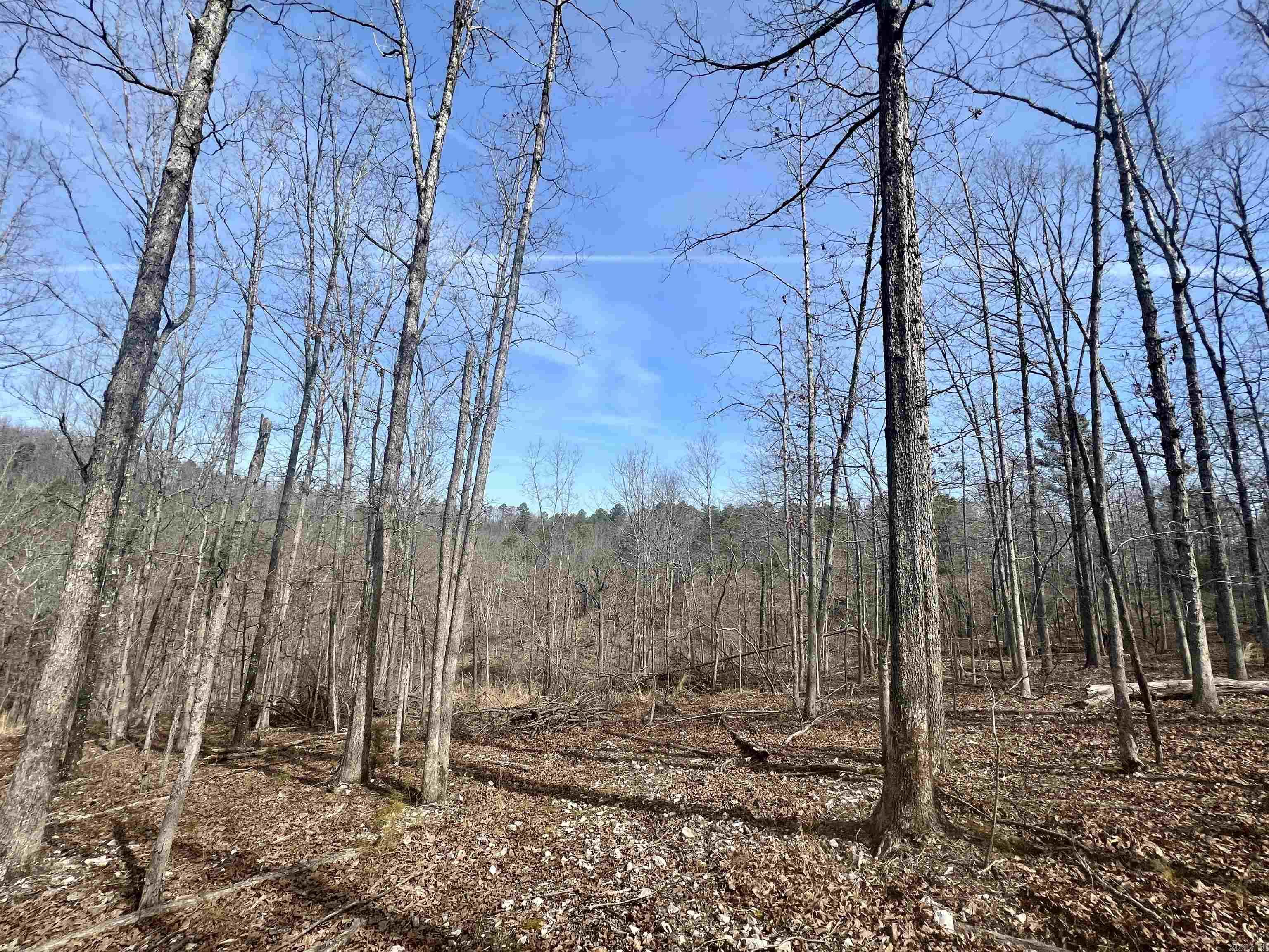 Tract 5  Ramblewood Trail  Yellville, AR