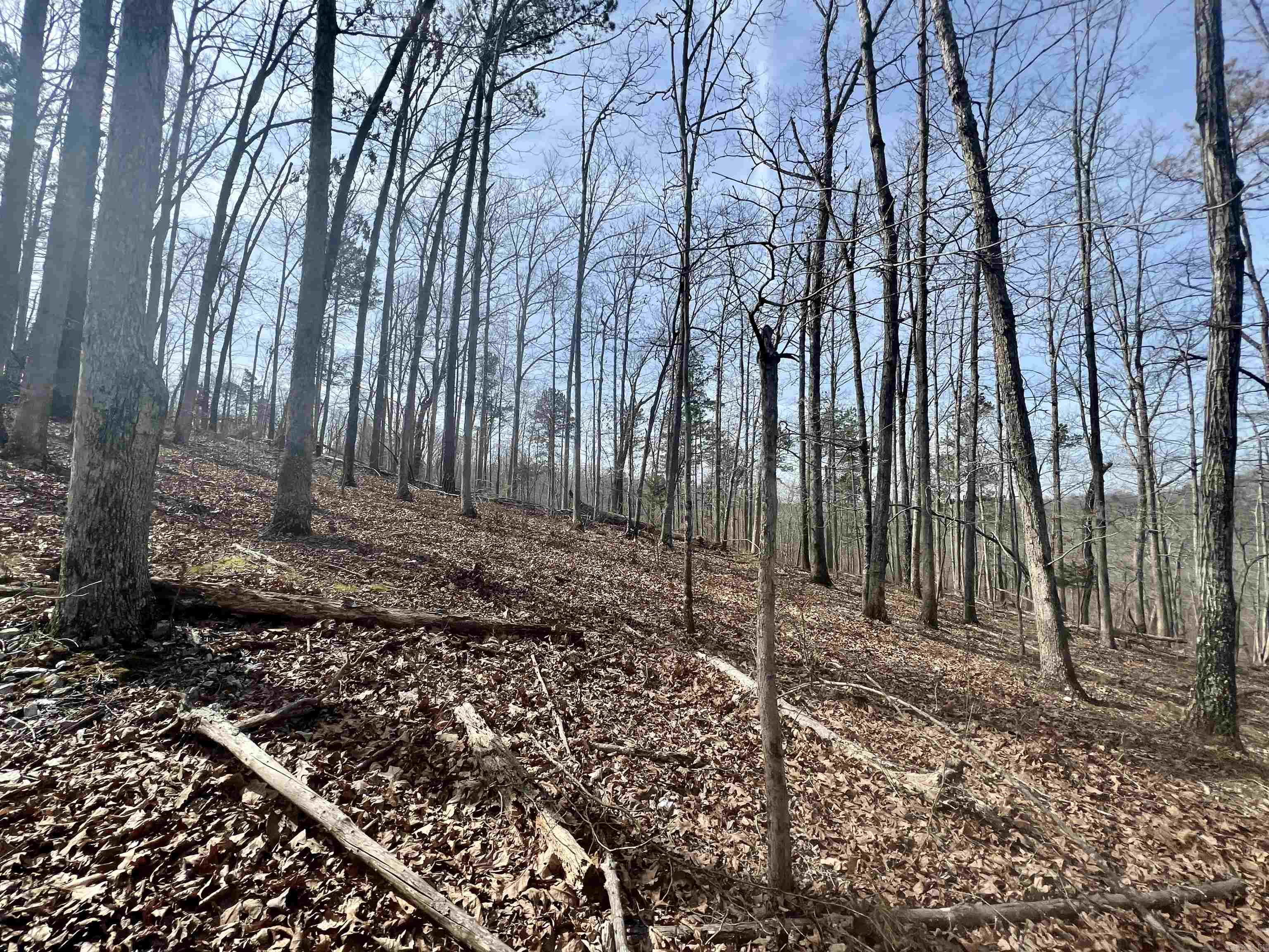 Tract 5  Ramblewood Trail  Yellville, AR
