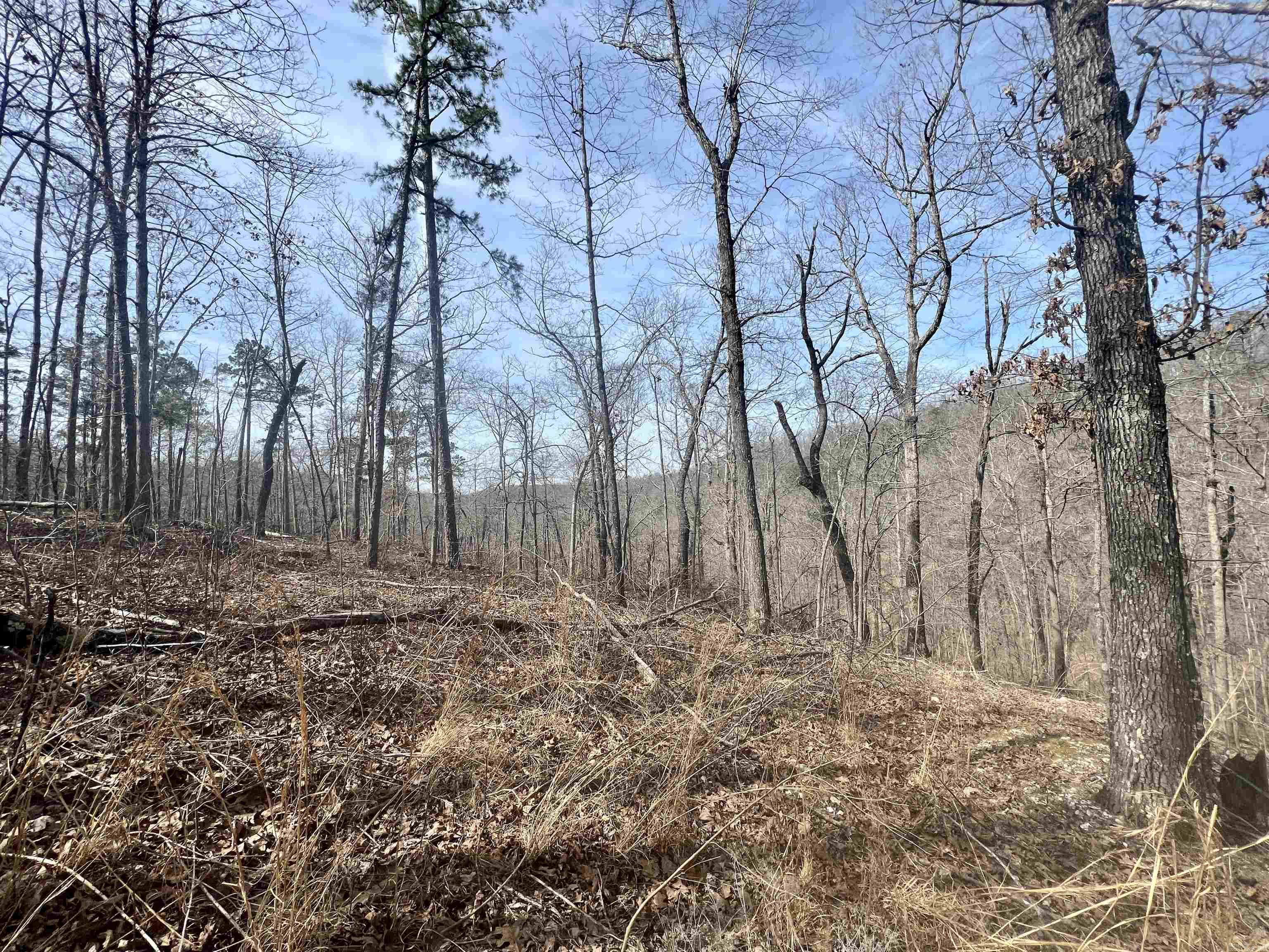 Tract 5  Ramblewood Trail  Yellville, AR