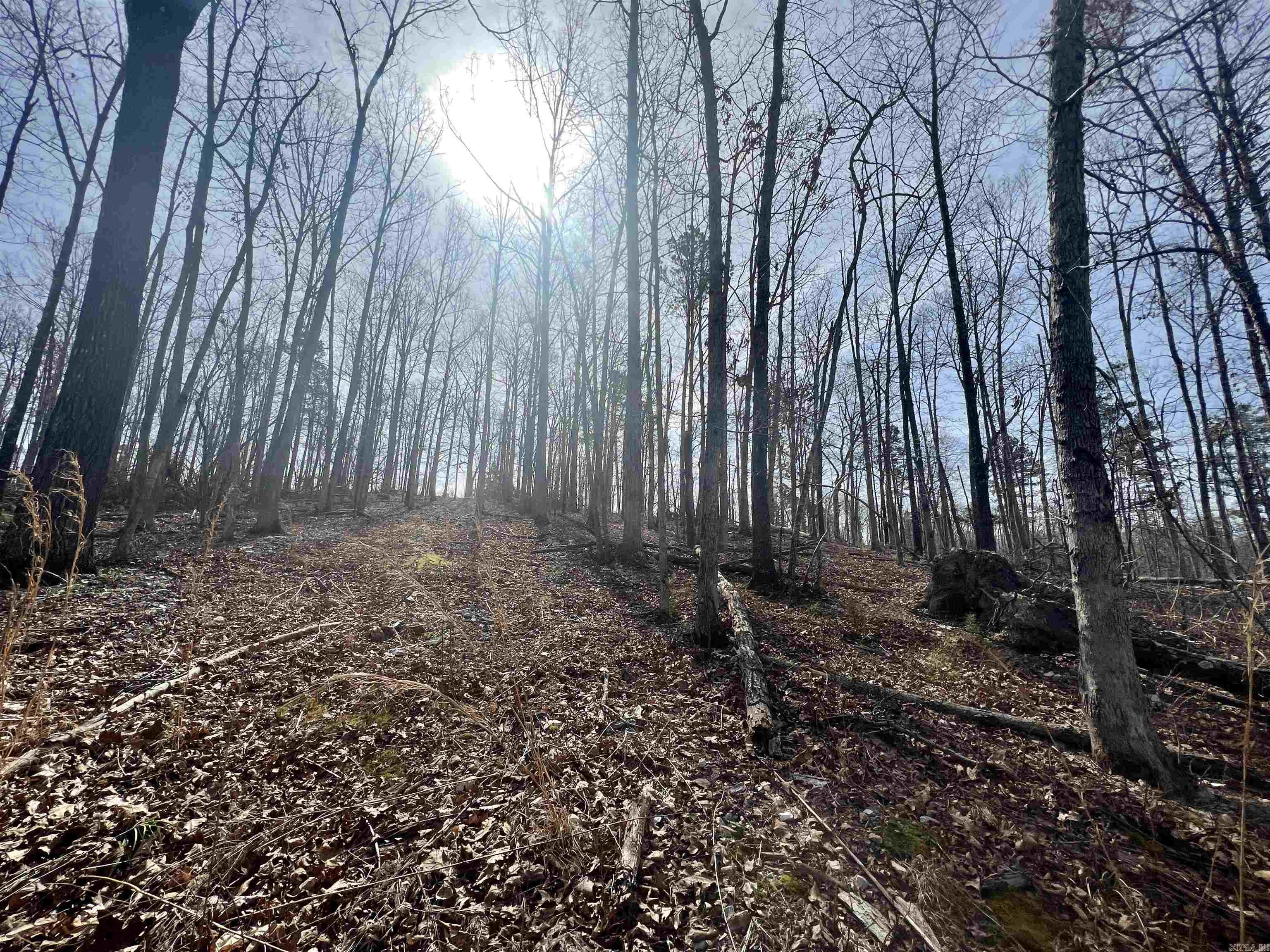 Tract 5  Ramblewood Trail  Yellville, AR