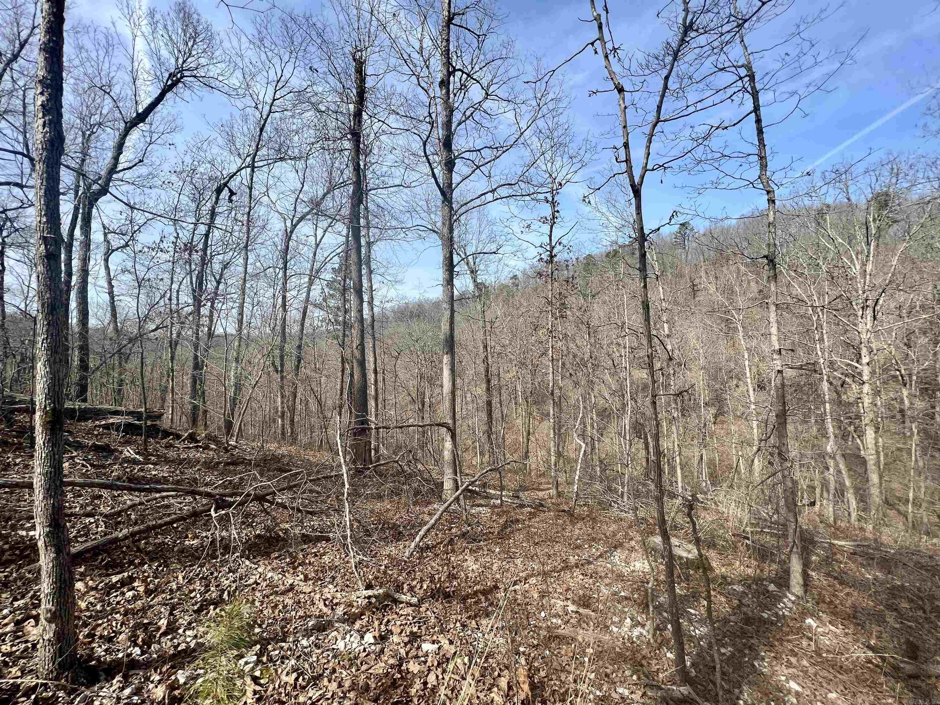 Tract 5  Ramblewood Trail  Yellville, AR