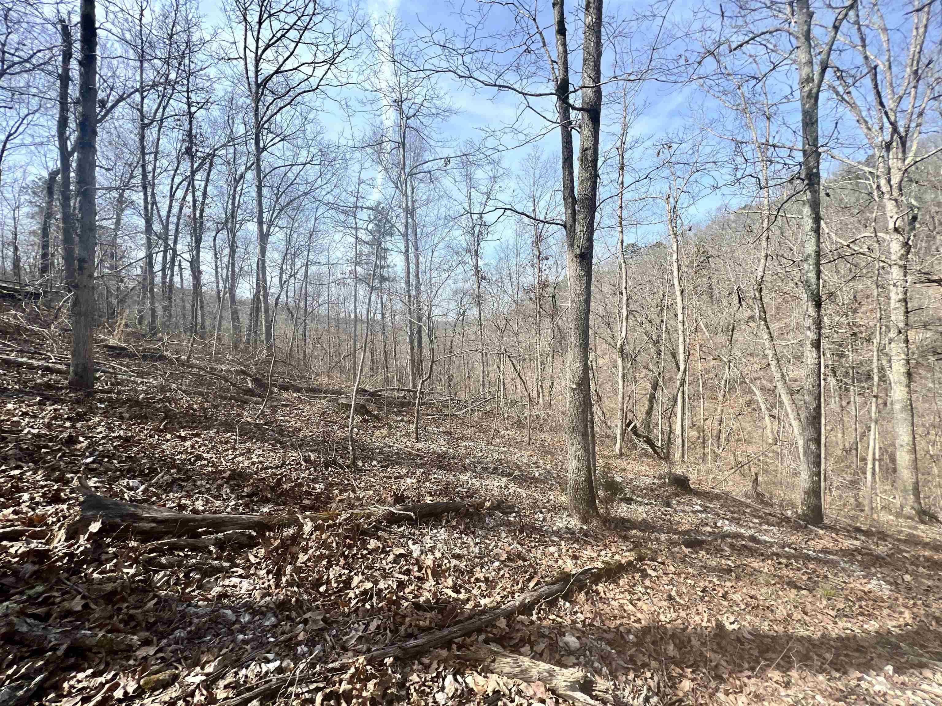 Tract 5  Ramblewood Trail  Yellville, AR