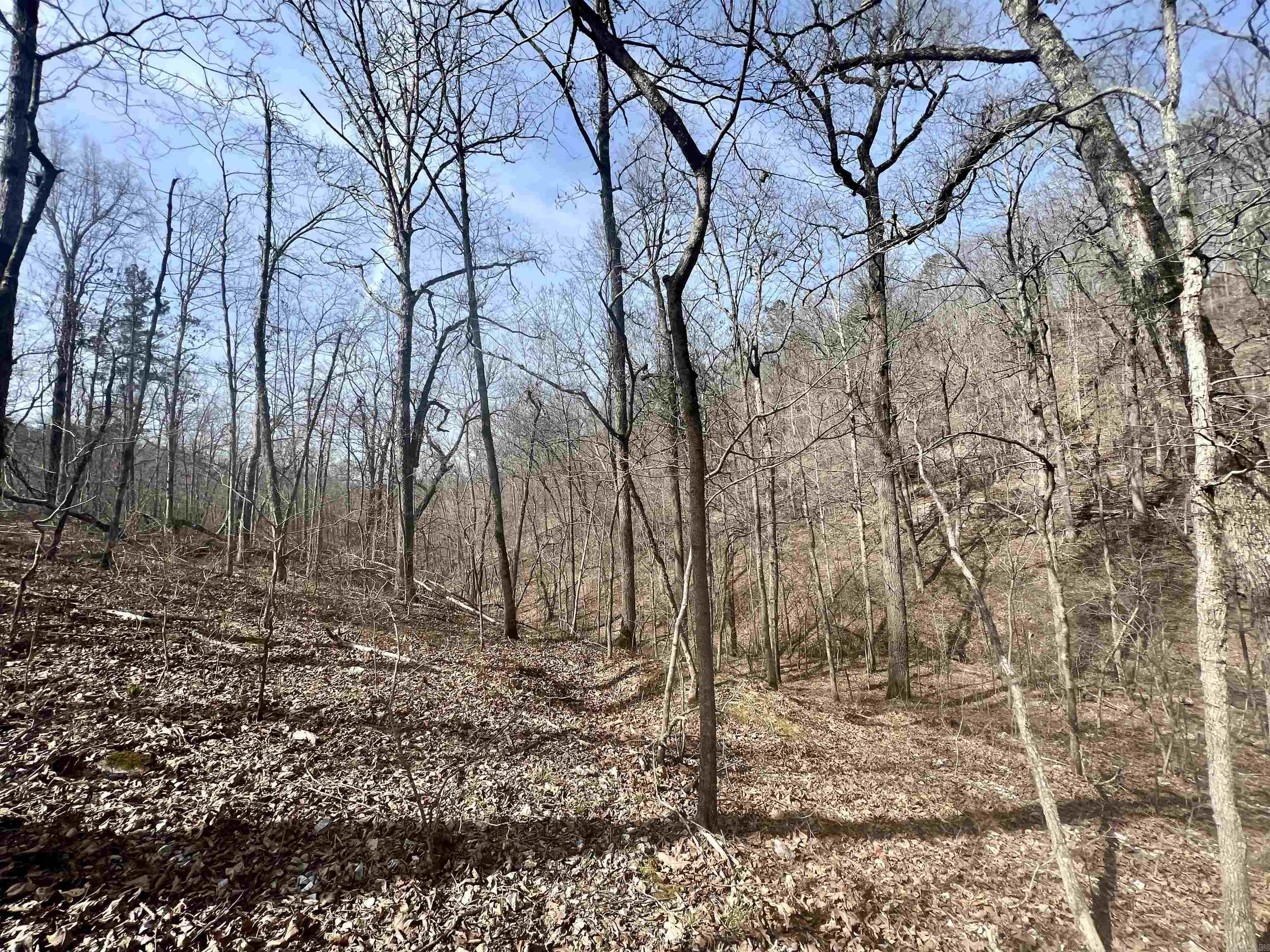 Tract 5  Ramblewood Trail  Yellville, AR