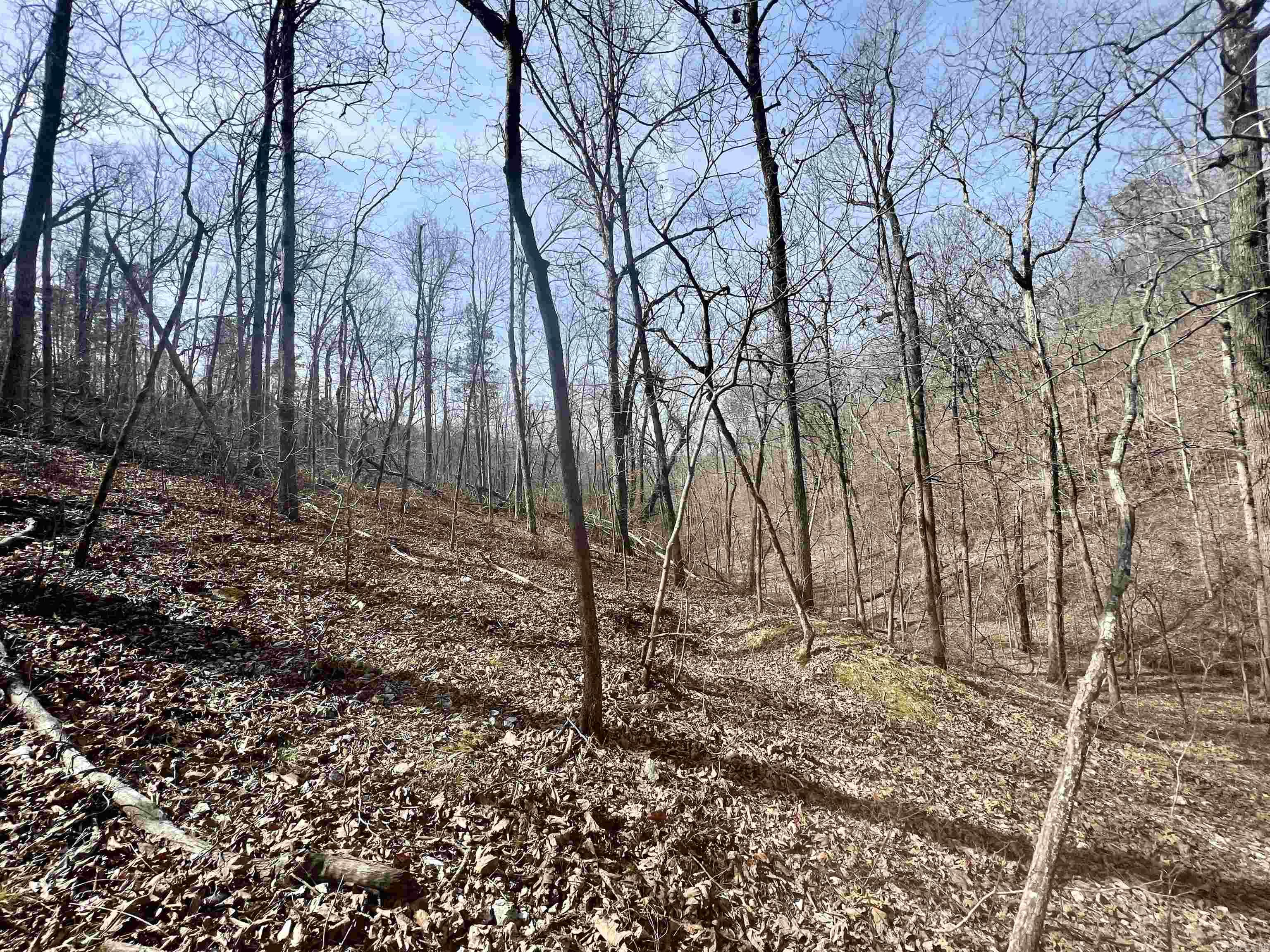 Tract 5  Ramblewood Trail  Yellville, AR