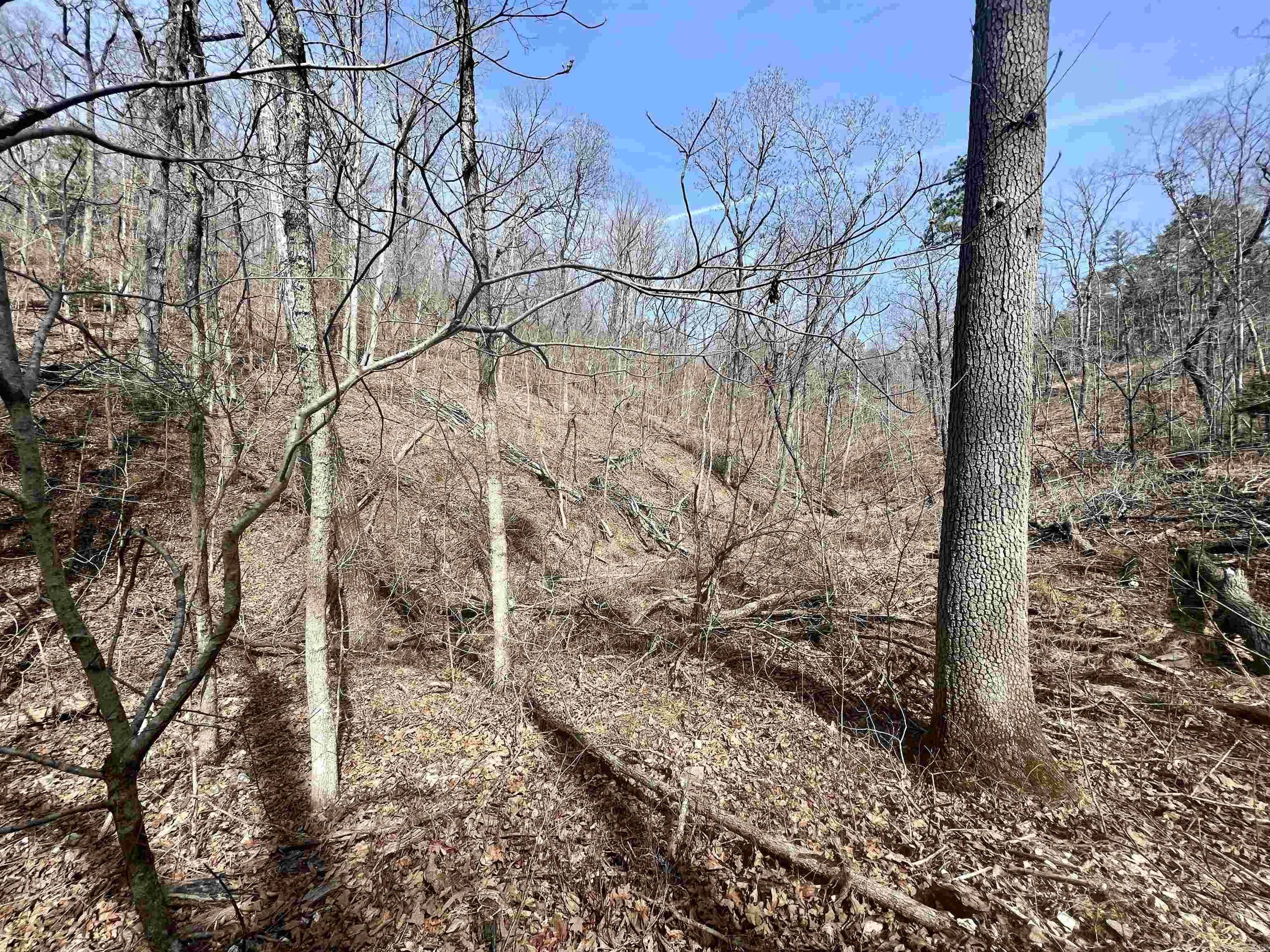 Tract 5  Ramblewood Trail  Yellville, AR