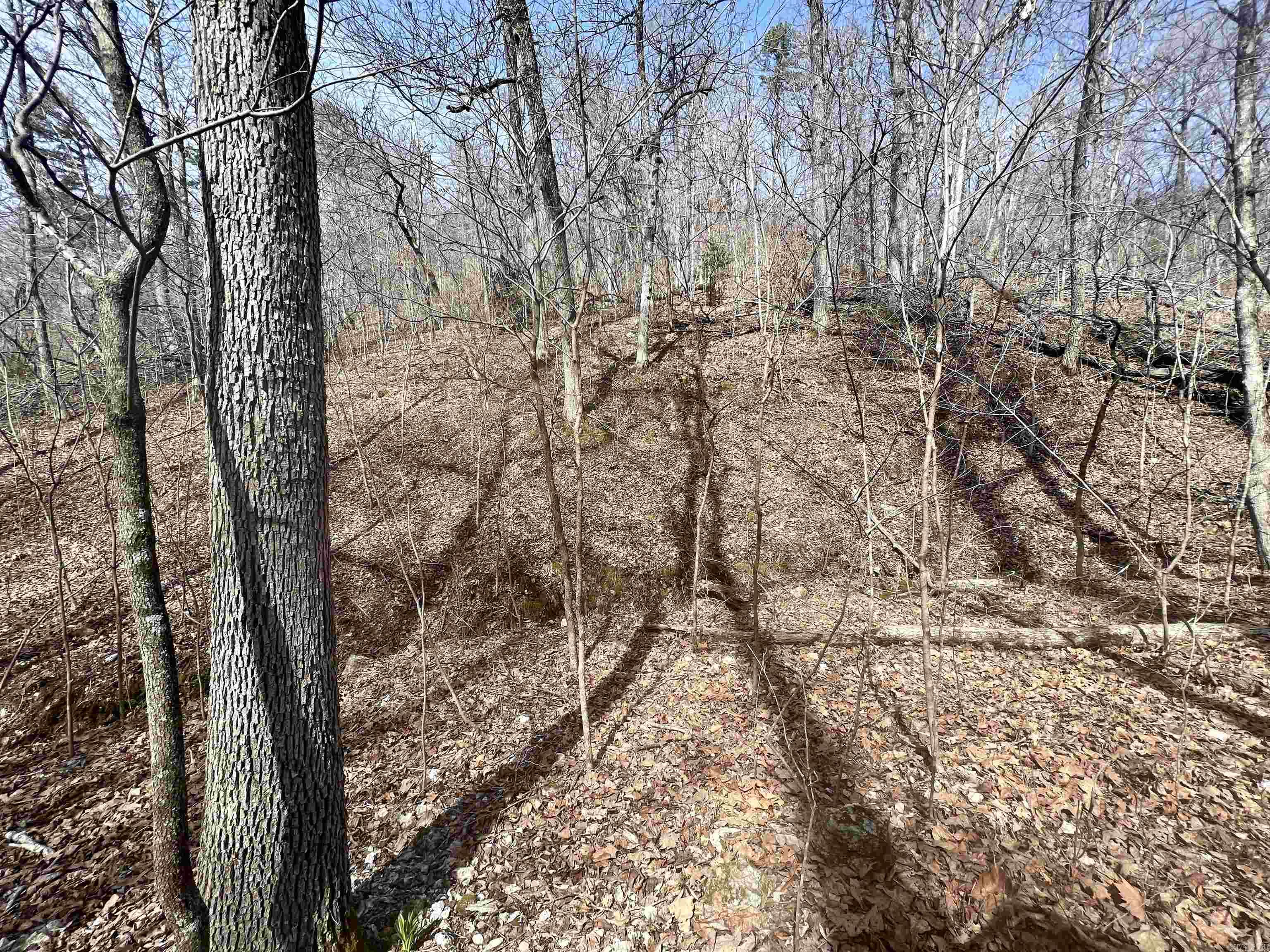 Tract 5  Ramblewood Trail  Yellville, AR