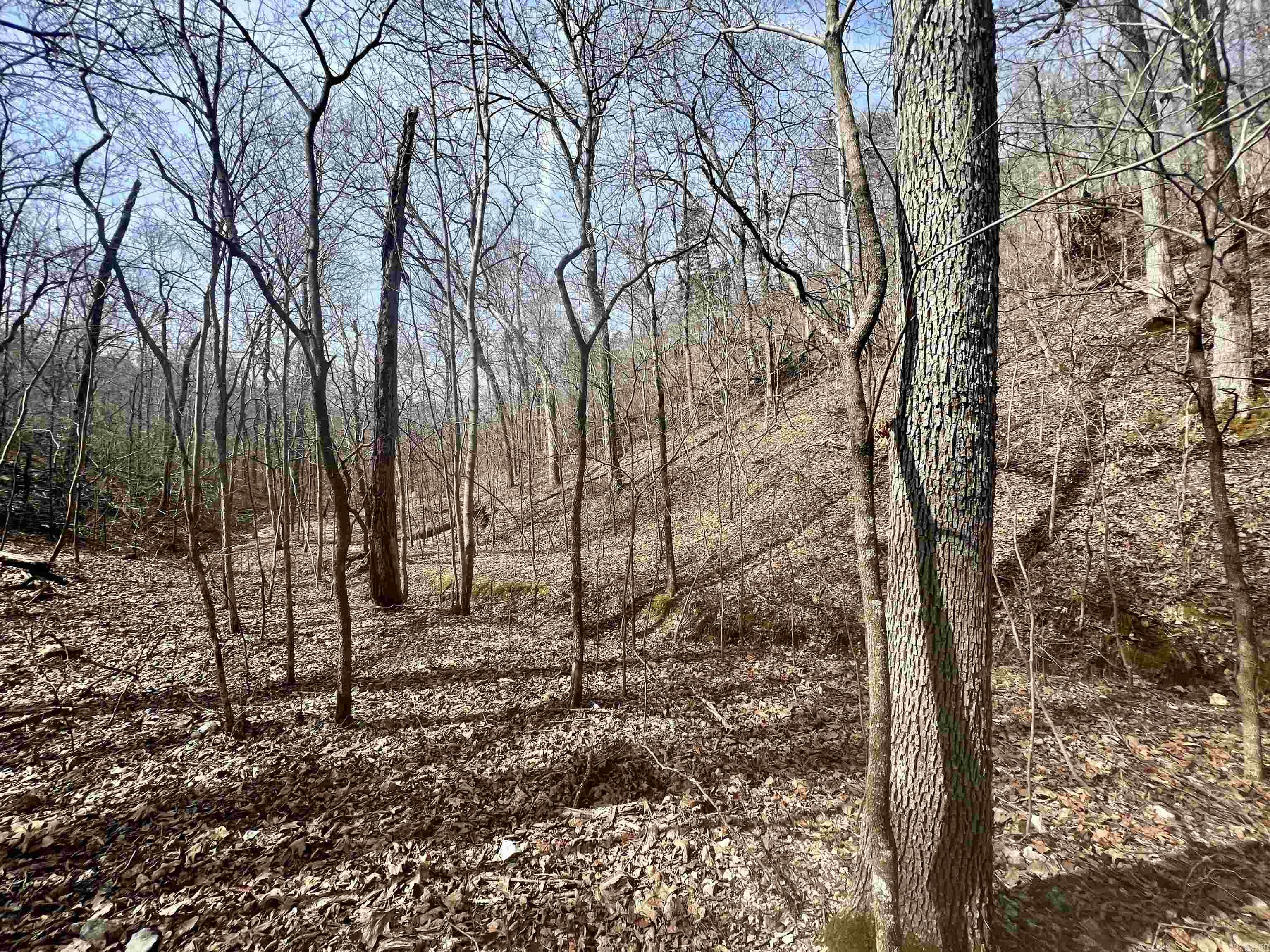 Tract 5  Ramblewood Trail  Yellville, AR