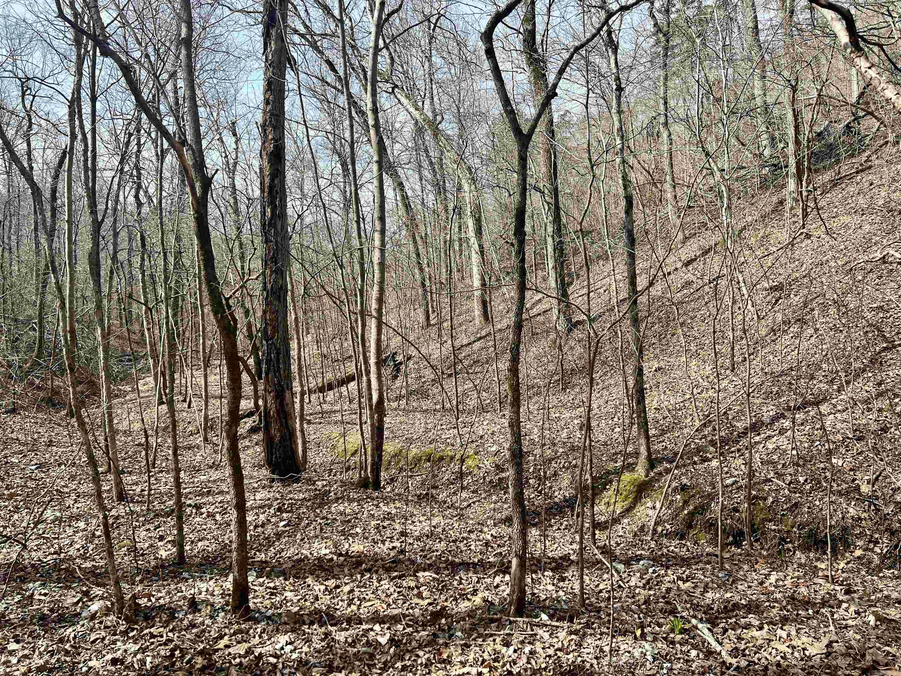 Tract 5  Ramblewood Trail  Yellville, AR