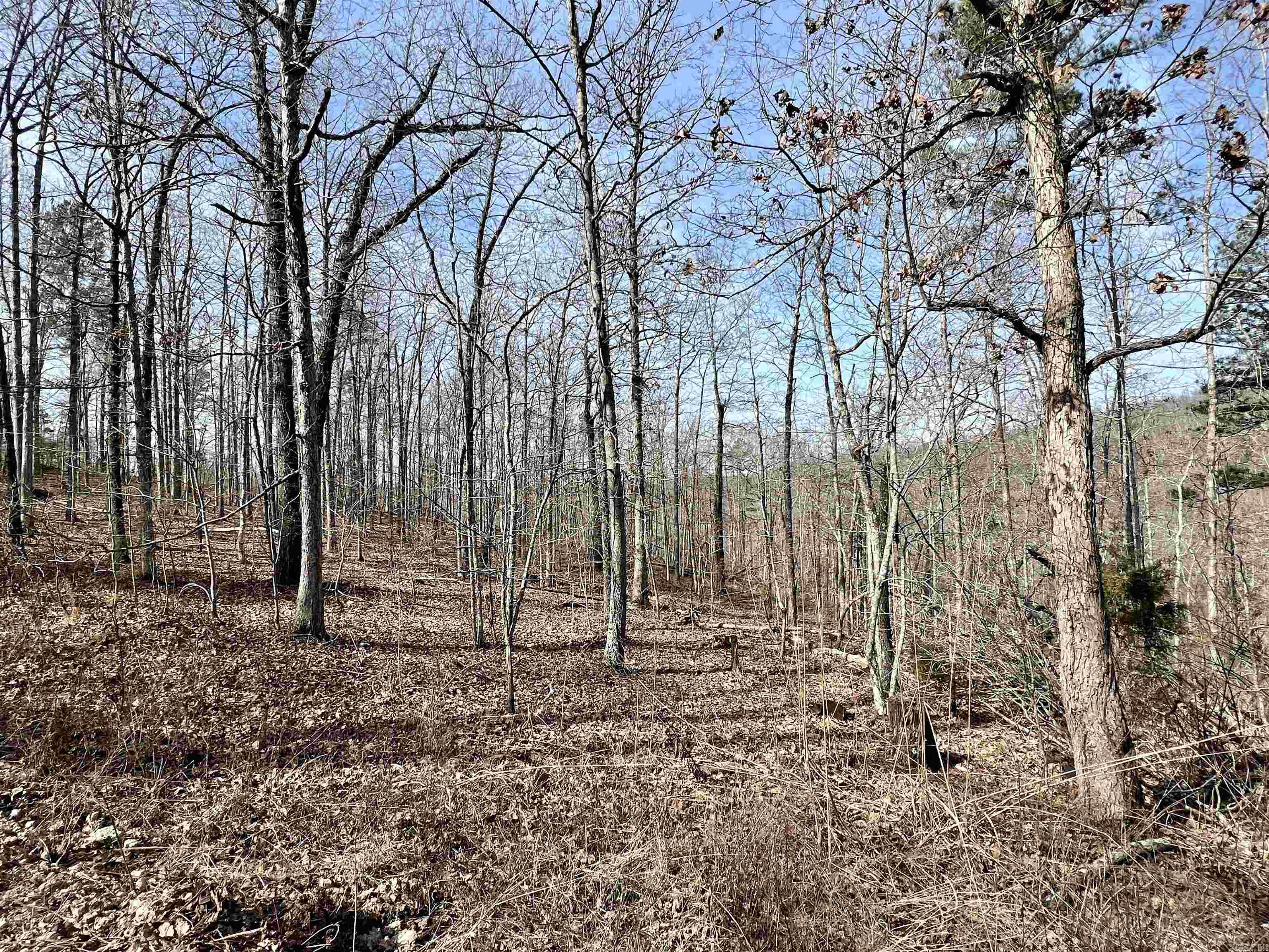 Tract 5  Ramblewood Trail  Yellville, AR