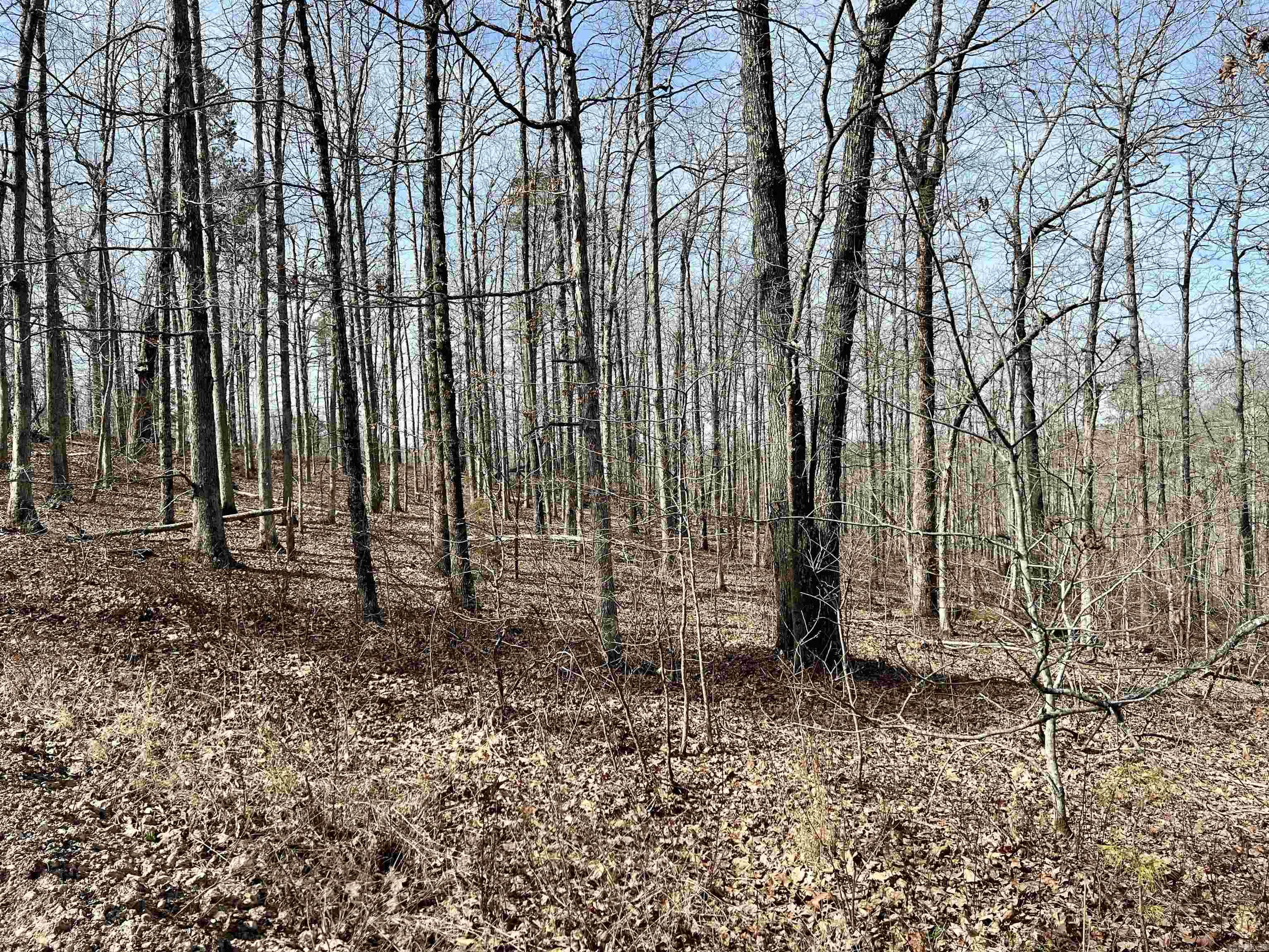 Tract 5  Ramblewood Trail  Yellville, AR