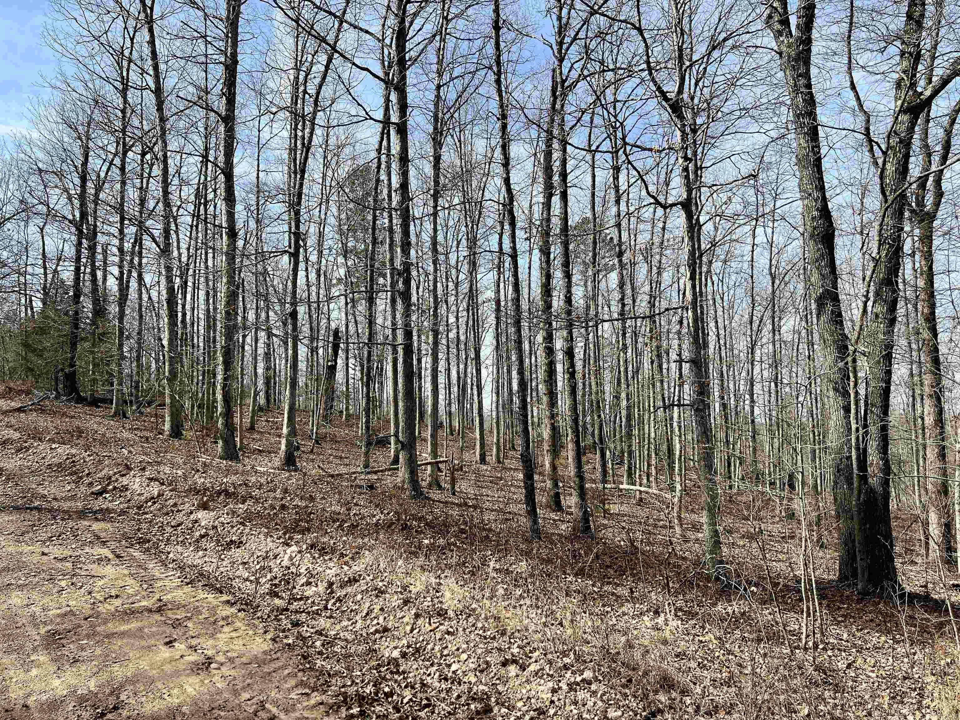 Tract 5  Ramblewood Trail  Yellville, AR