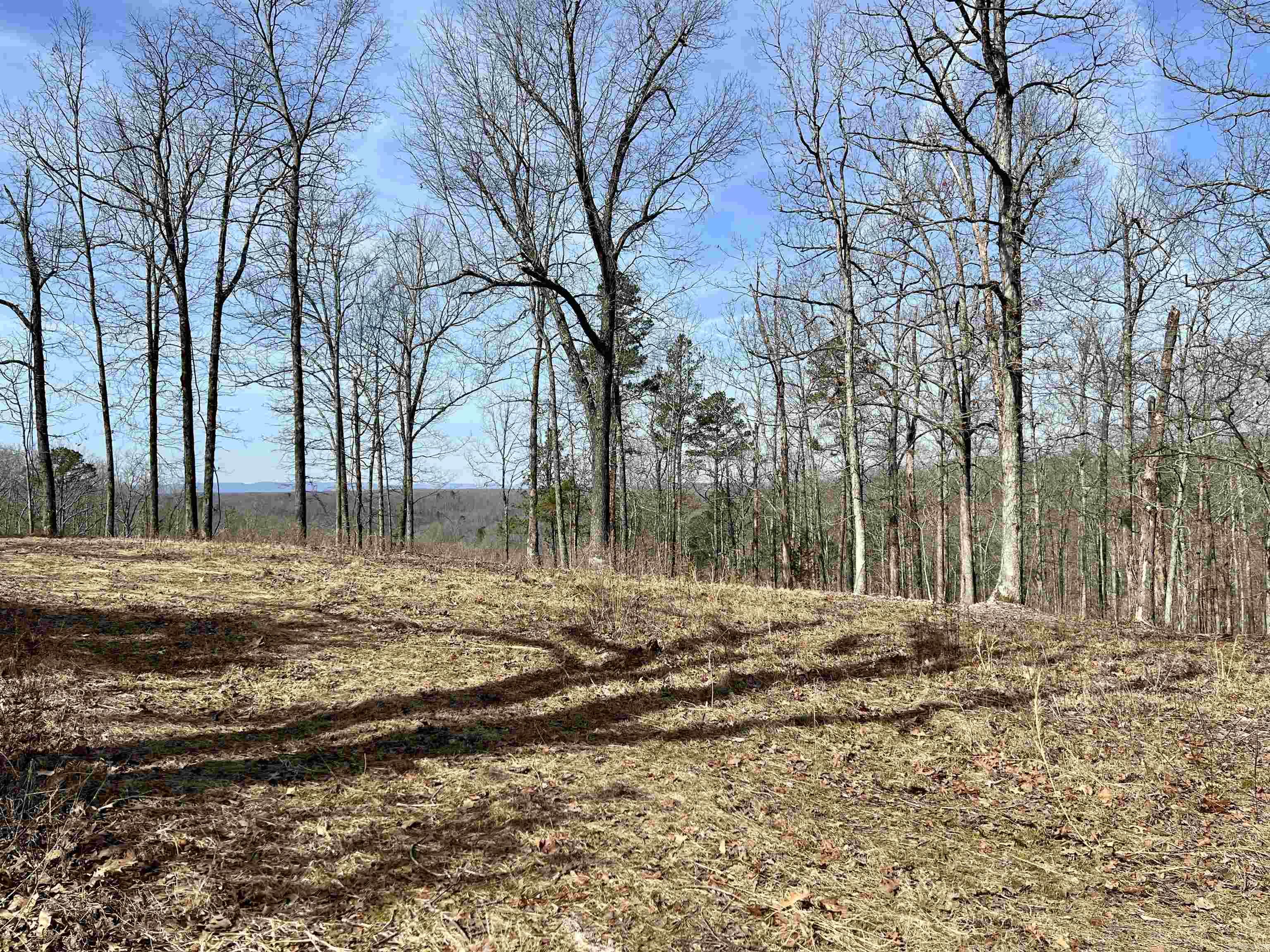 Tract 5  Ramblewood Trail  Yellville, AR