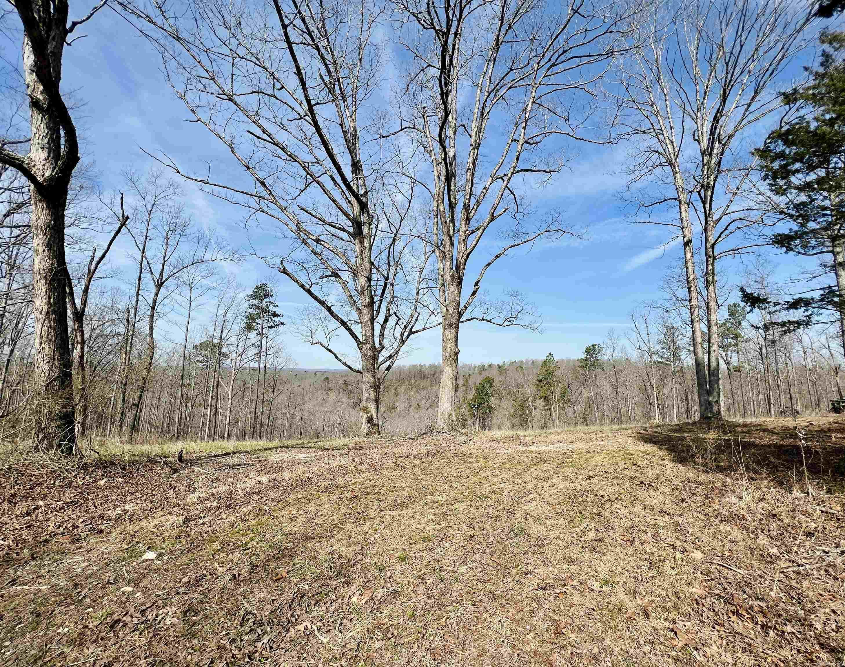 Tract 5  Ramblewood Trail  Yellville, AR