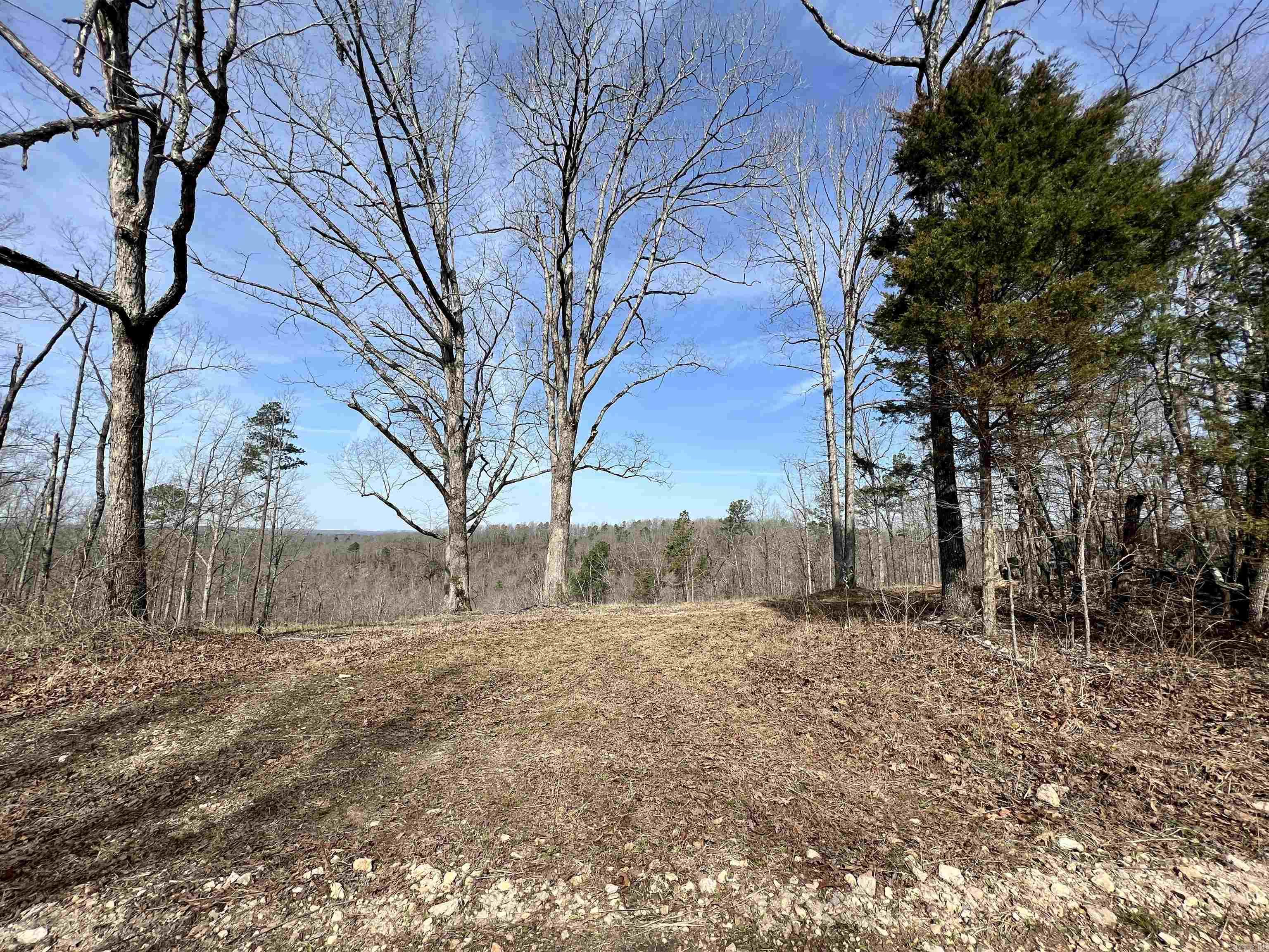 Tract 5  Ramblewood Trail  Yellville, AR