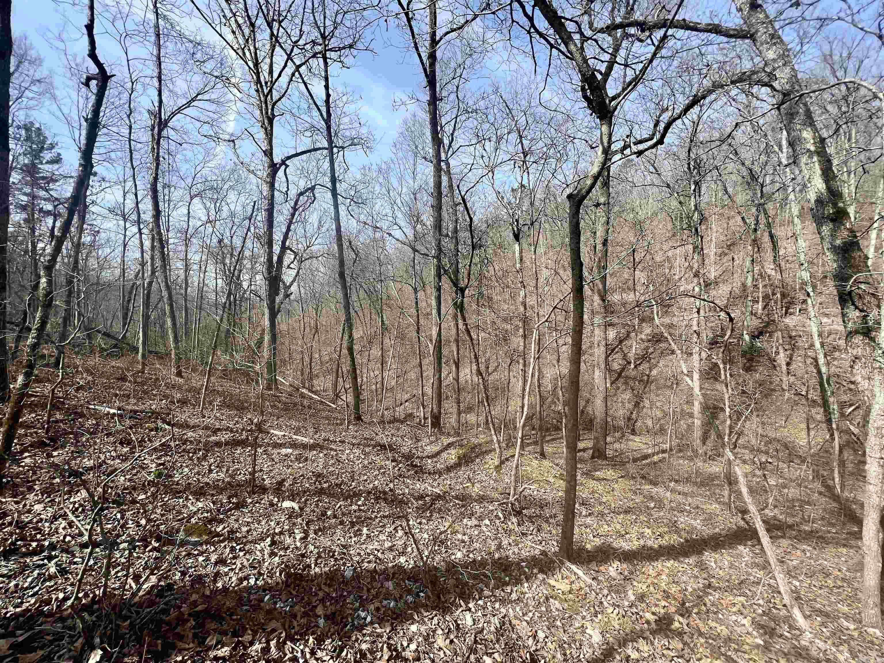 Tract 5  Ramblewood Trail  Yellville, AR