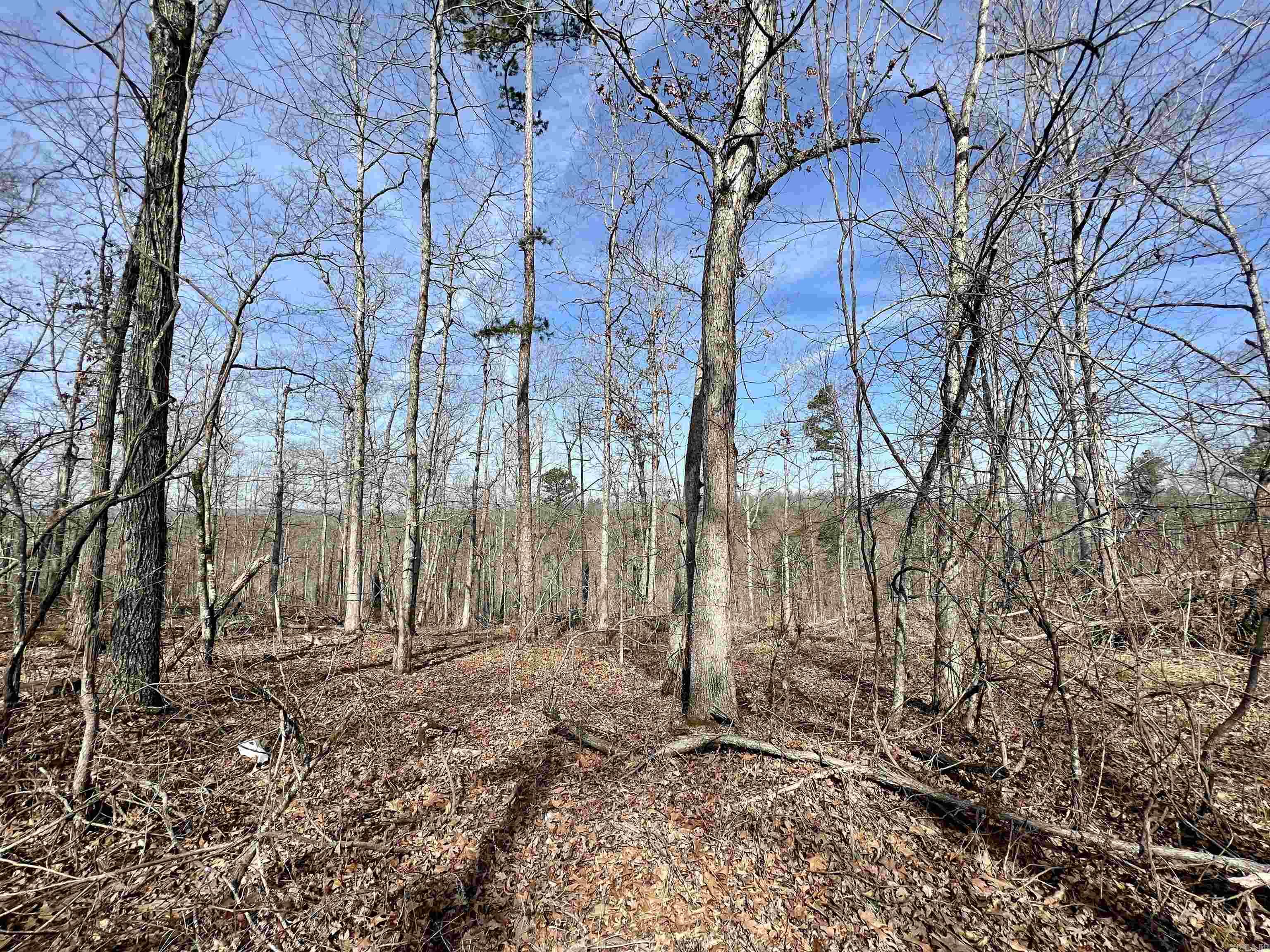 Tract 5  Ramblewood Trail  Yellville, AR