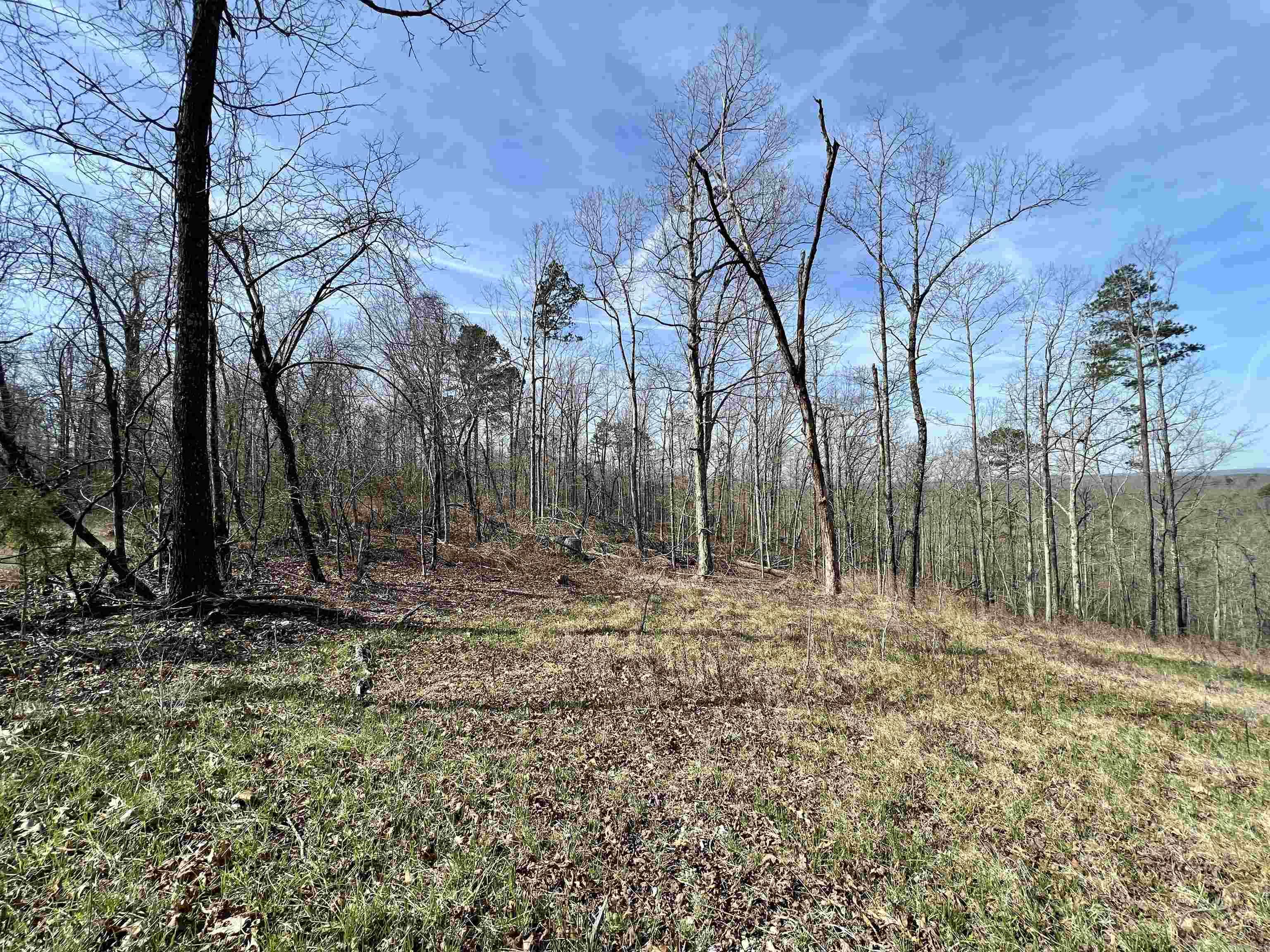 Tract 5  Ramblewood Trail  Yellville, AR