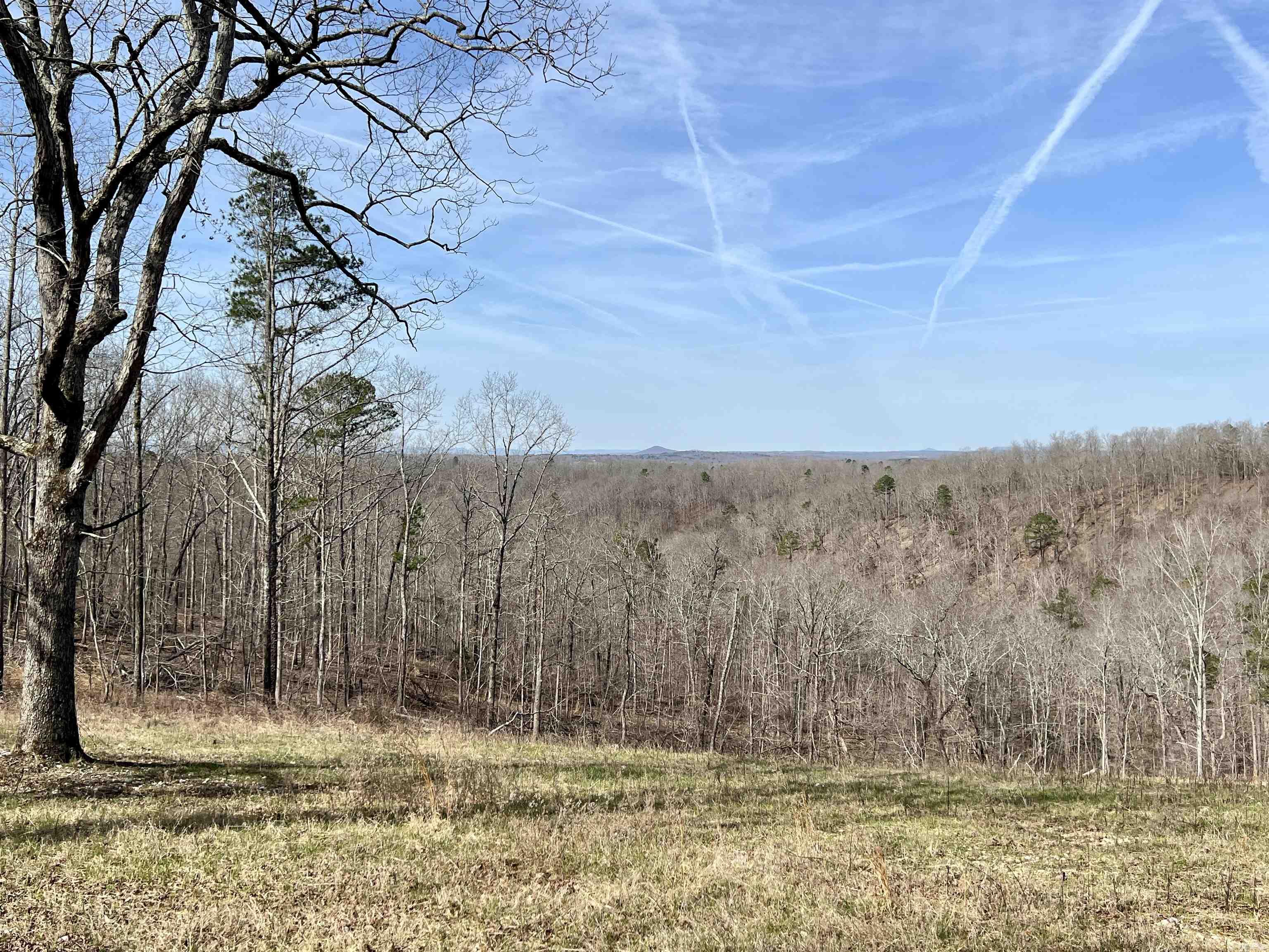 Tract 5  Ramblewood Trail  Yellville, AR