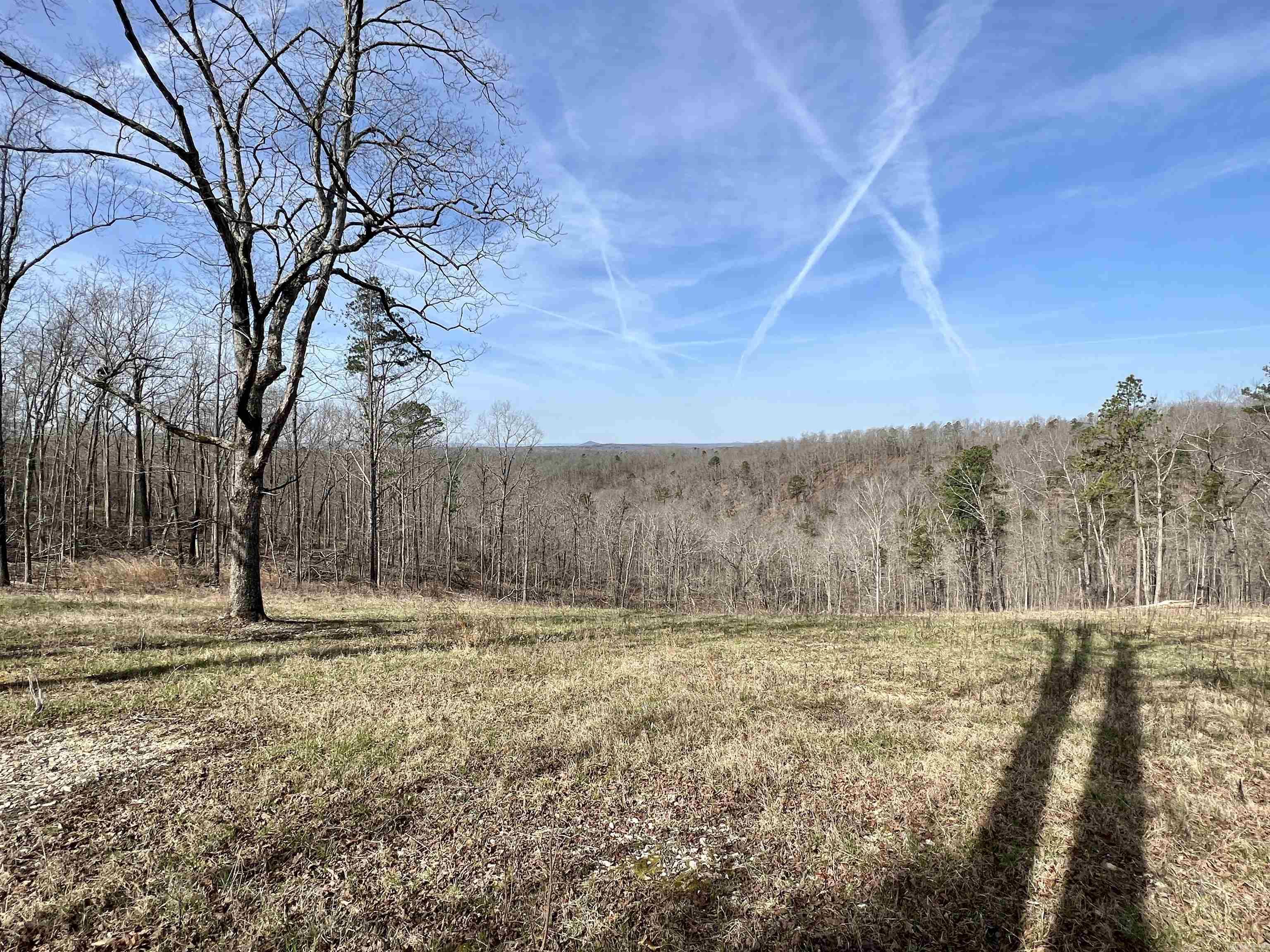 Tract 5  Ramblewood Trail  Yellville, AR