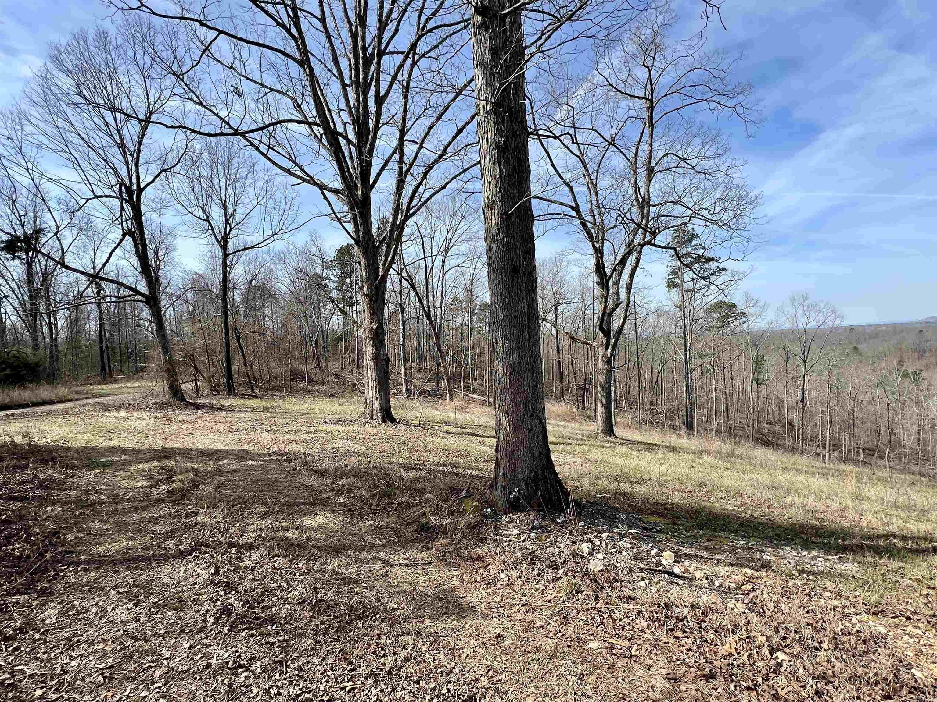 Tract 5  Ramblewood Trail  Yellville, AR