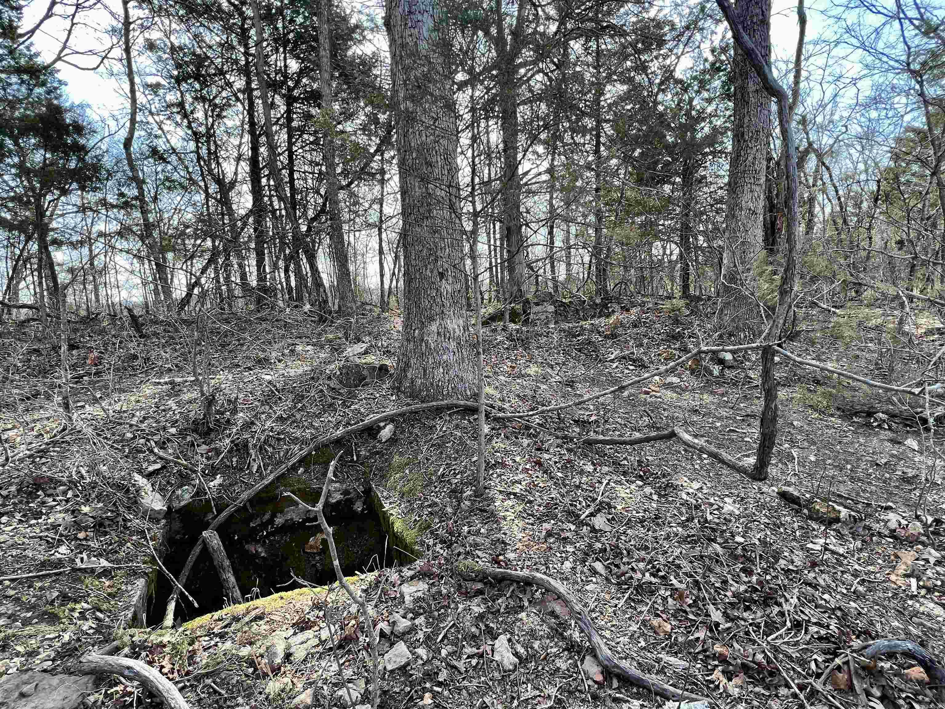 Tract 5  Ramblewood Trail  Yellville, AR