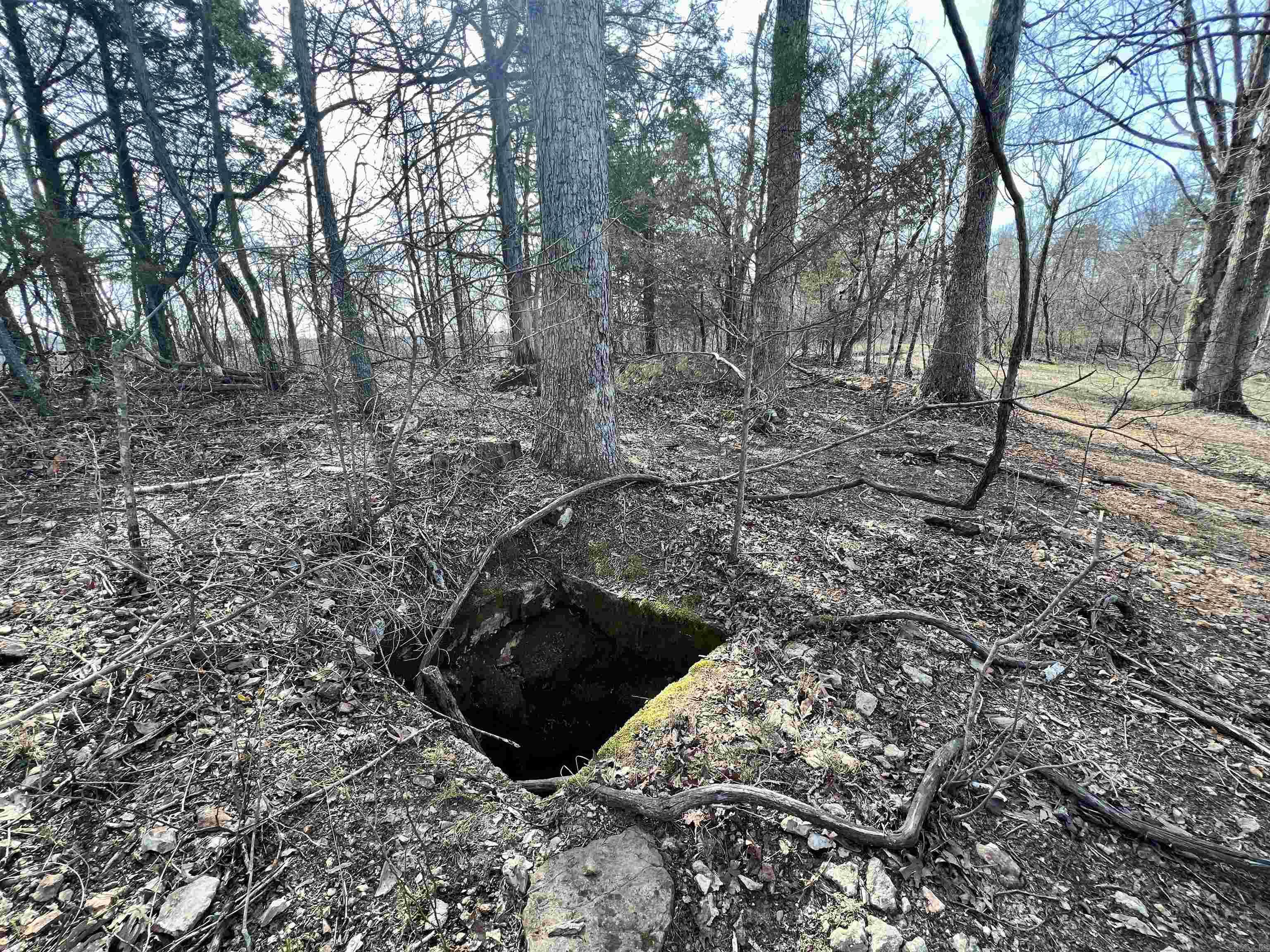 Tract 5  Ramblewood Trail  Yellville, AR