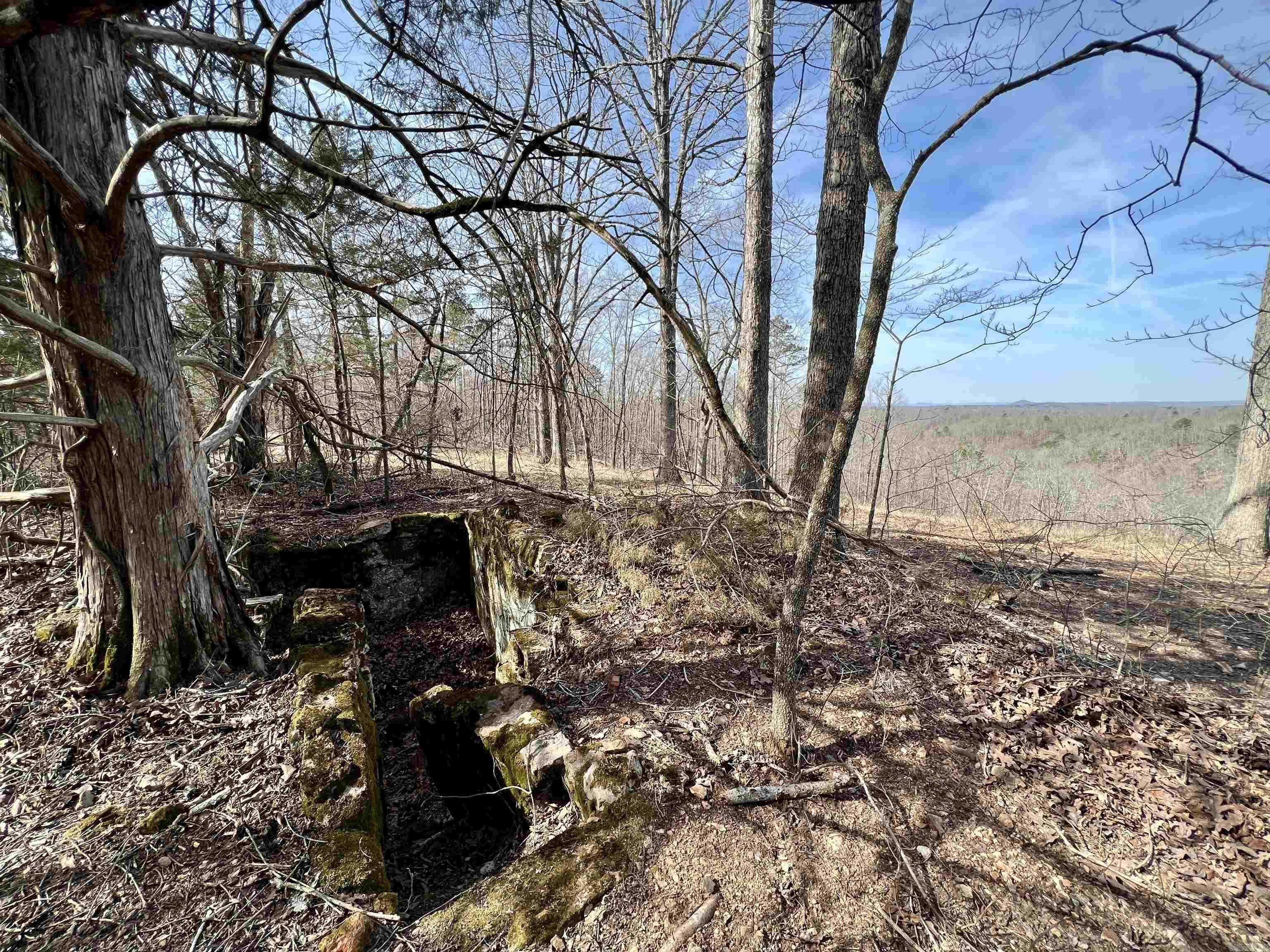Tract 5  Ramblewood Trail  Yellville, AR