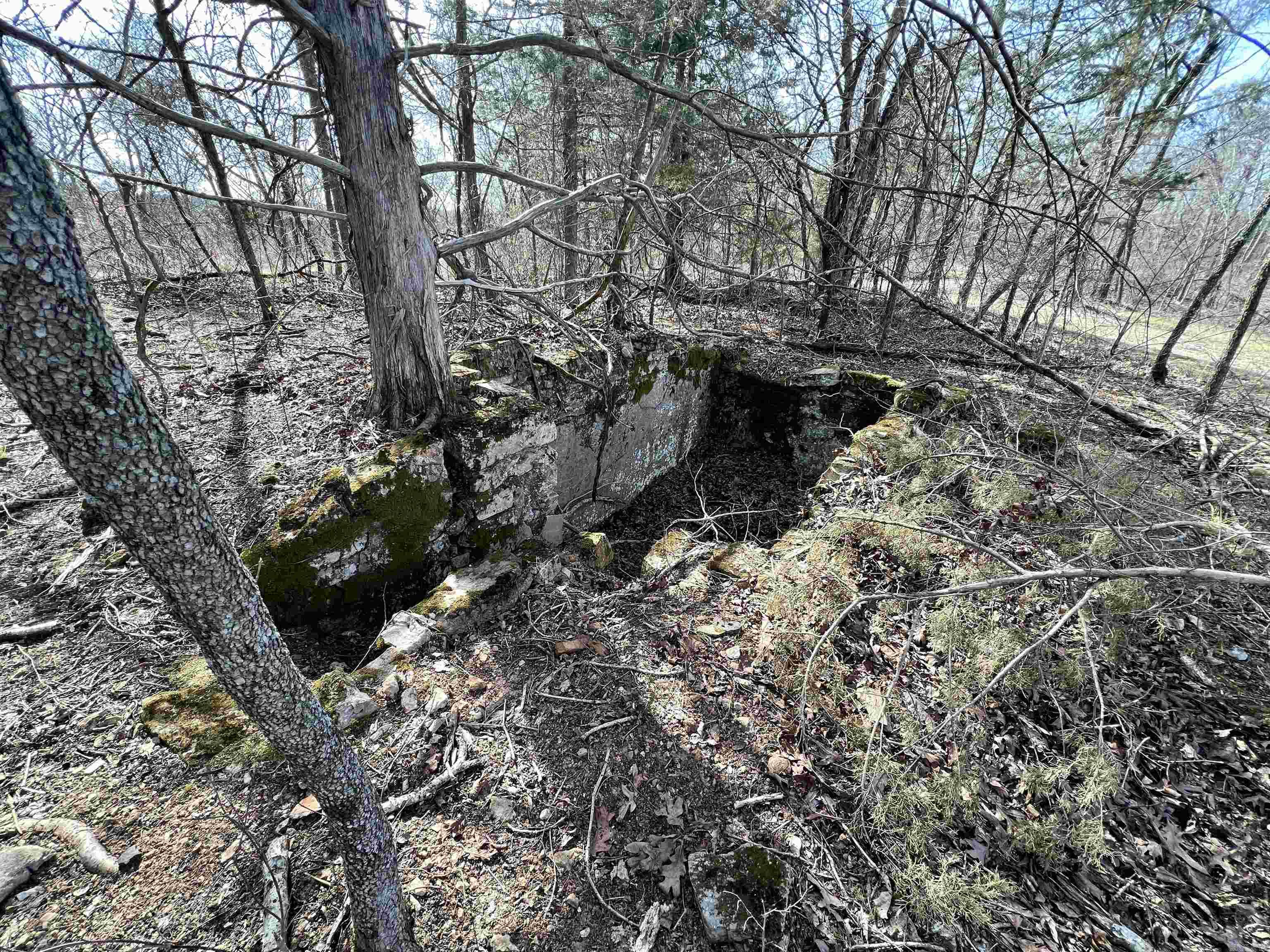 Tract 5  Ramblewood Trail  Yellville, AR