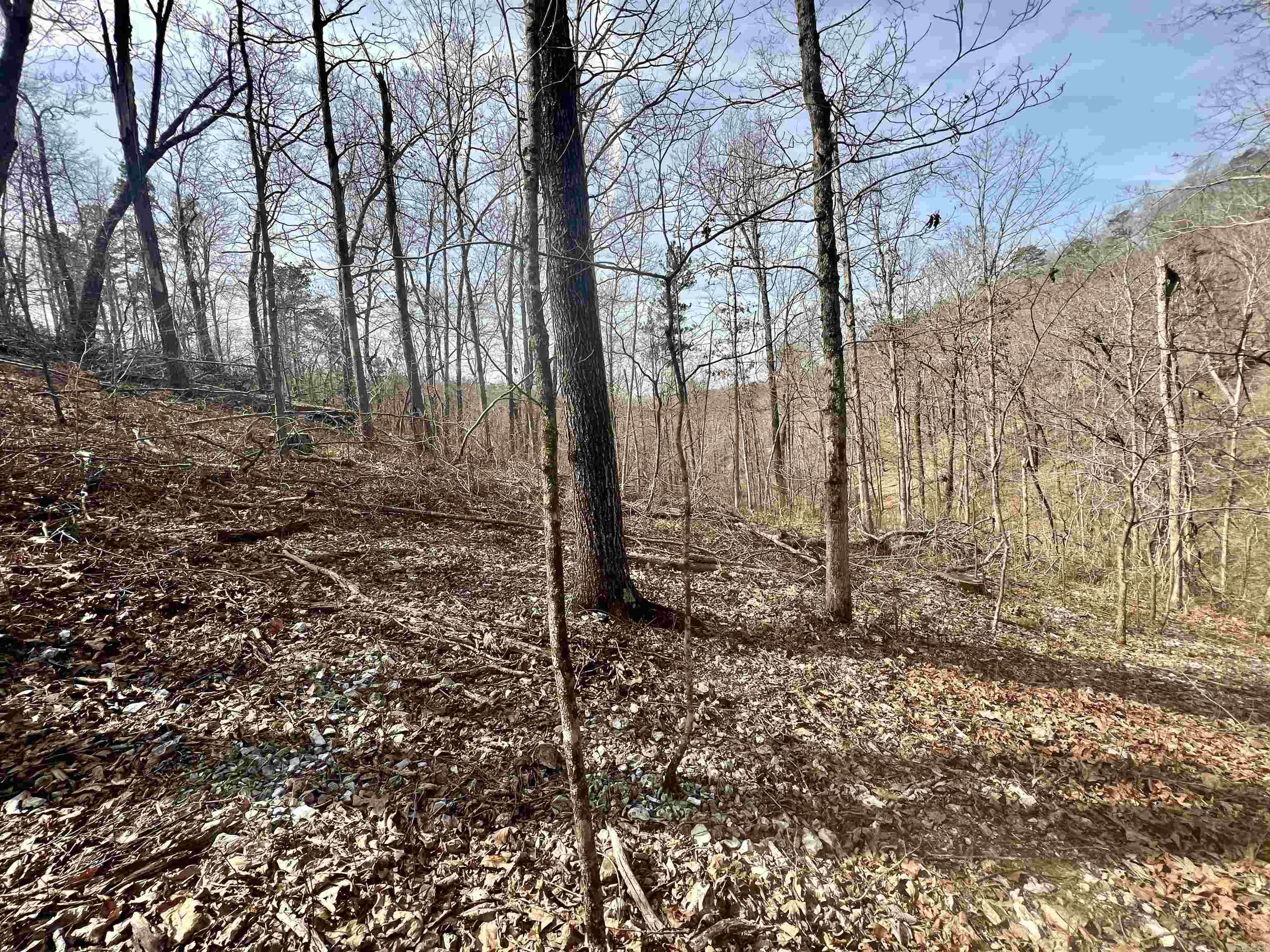 Tract 5  Ramblewood Trail  Yellville, AR