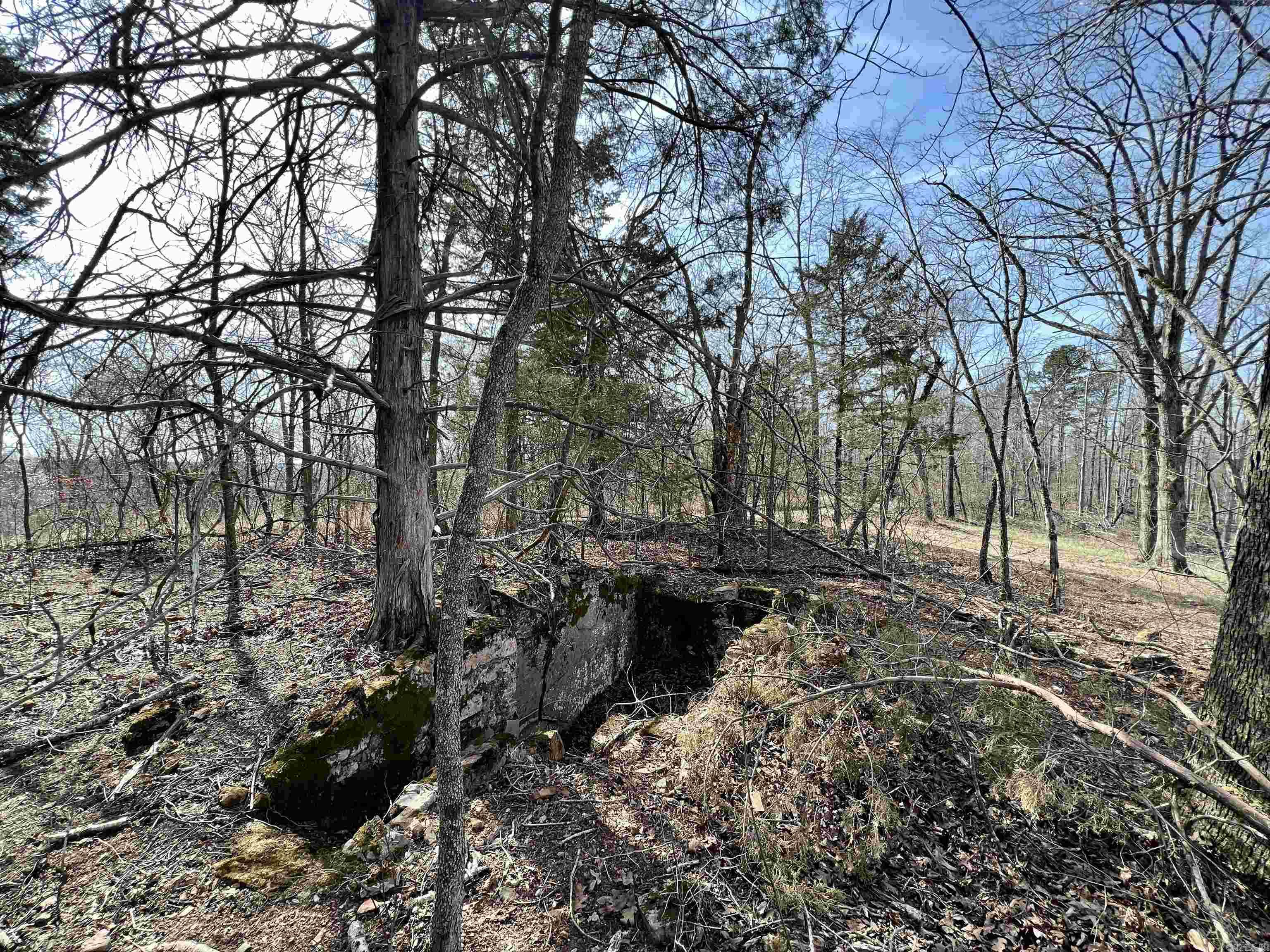 Tract 5  Ramblewood Trail  Yellville, AR