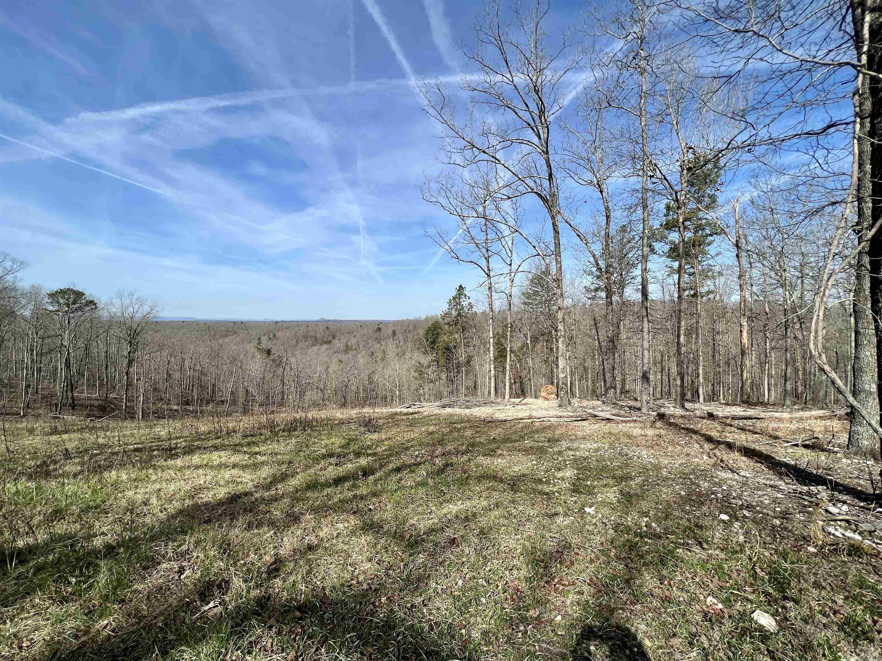 Tract 5  Ramblewood Trail  Yellville, AR