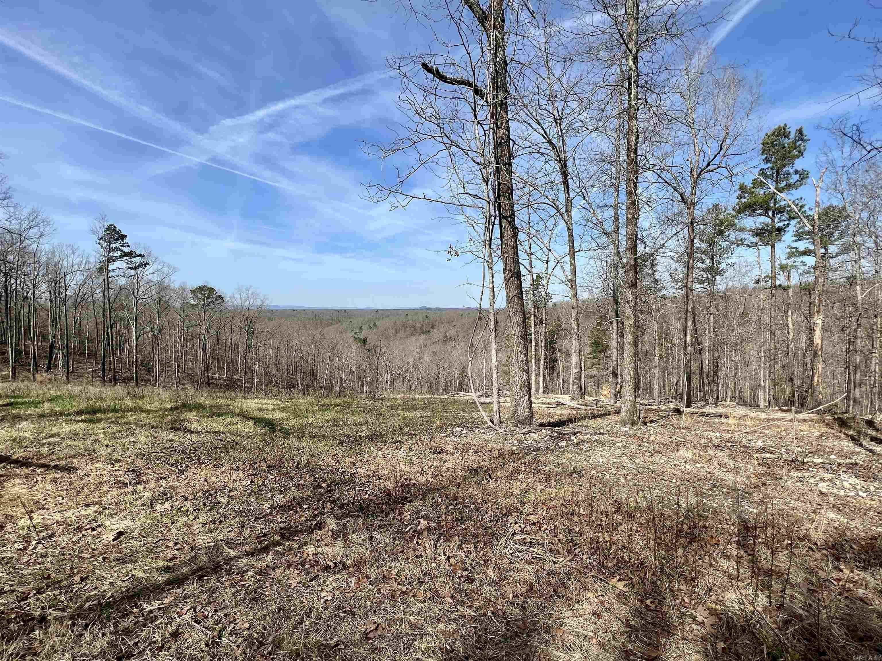 Tract 5  Ramblewood Trail  Yellville, AR