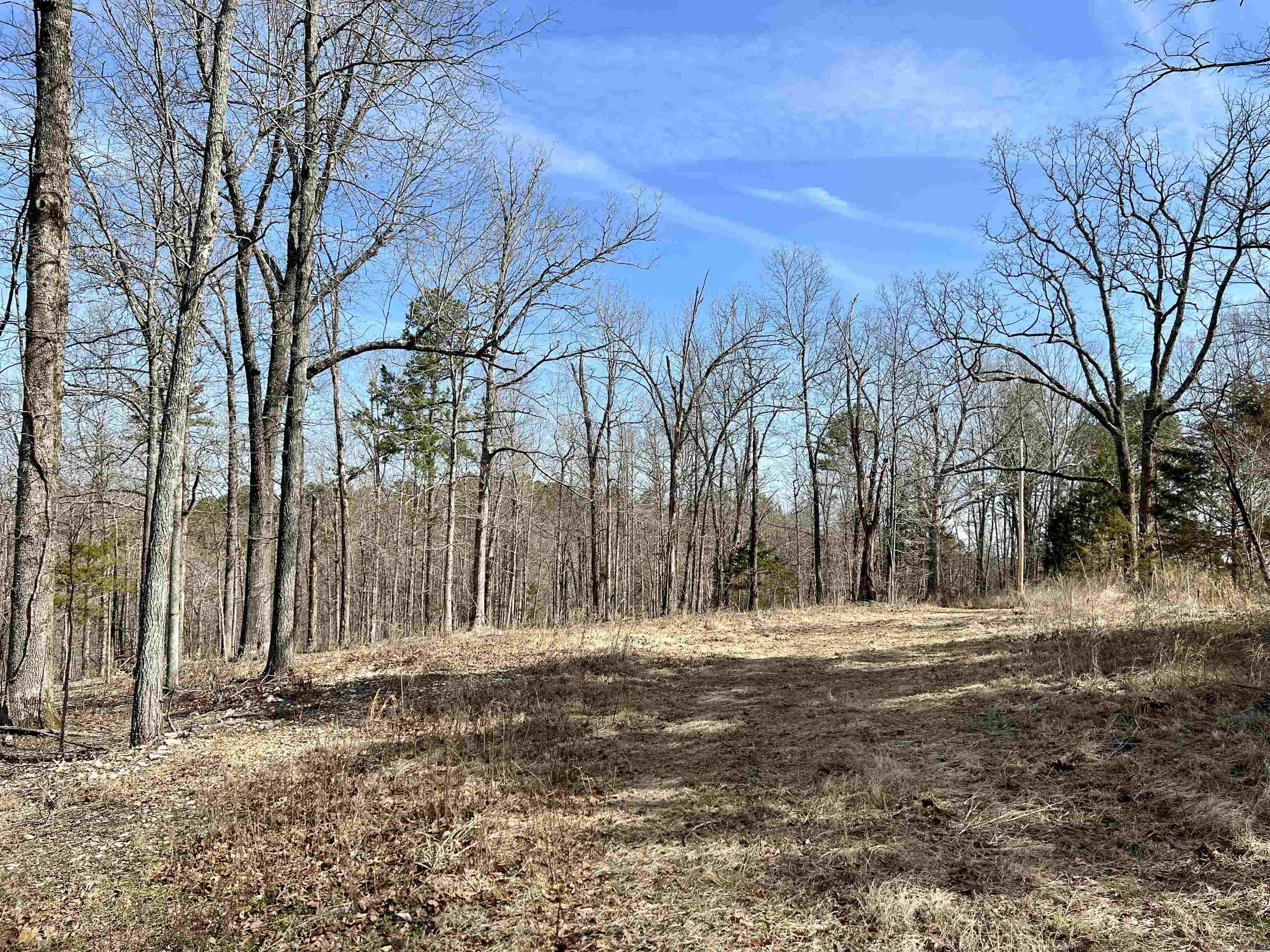 Tract 5  Ramblewood Trail  Yellville, AR