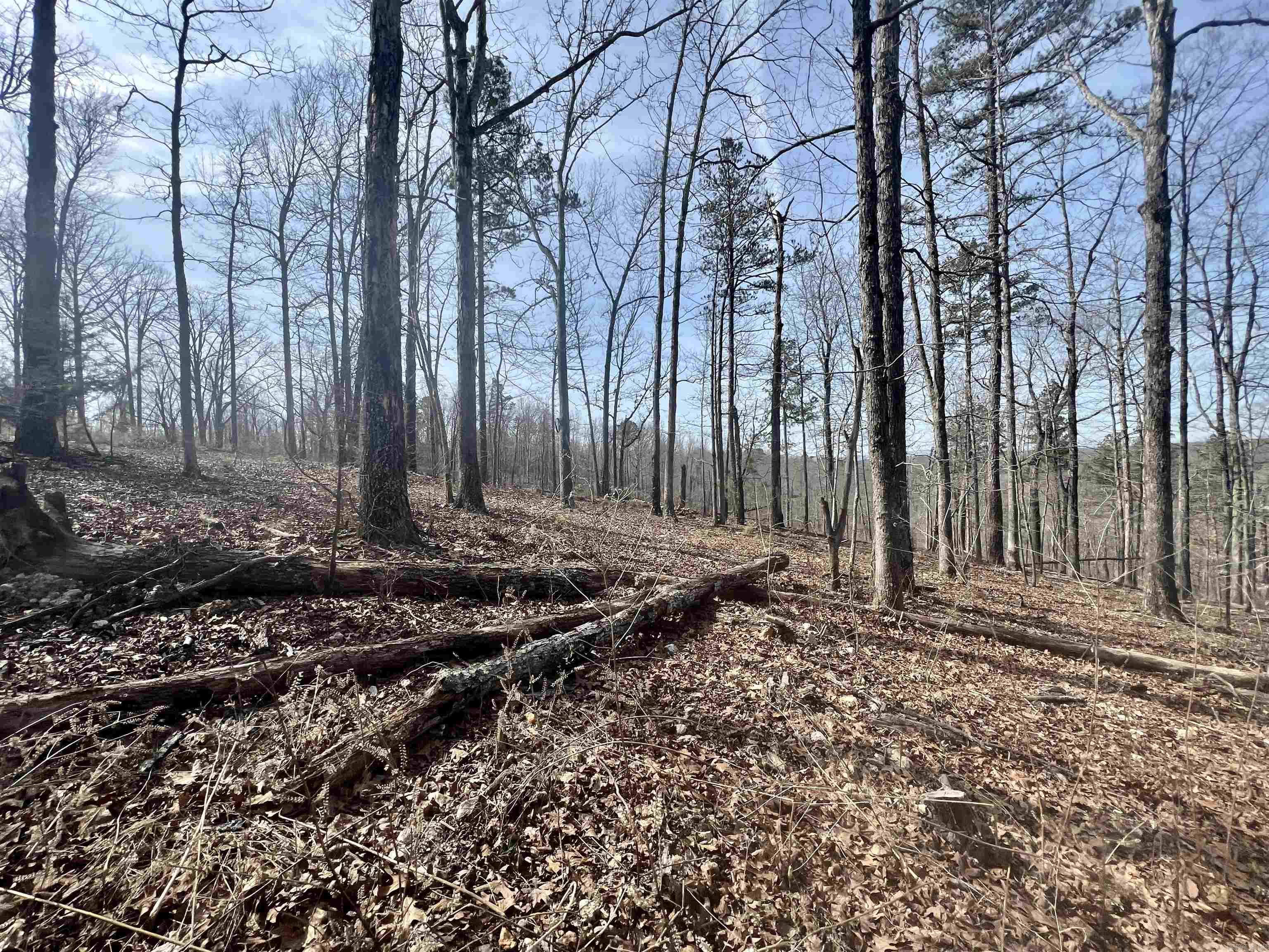 Tract 5  Ramblewood Trail  Yellville, AR