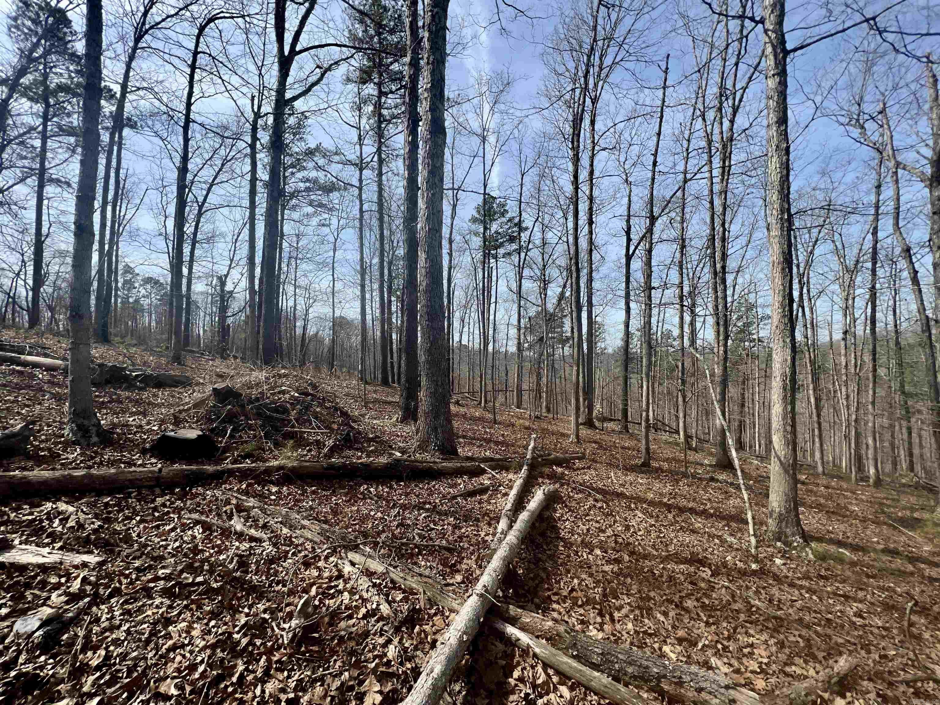Tract 5  Ramblewood Trail  Yellville, AR
