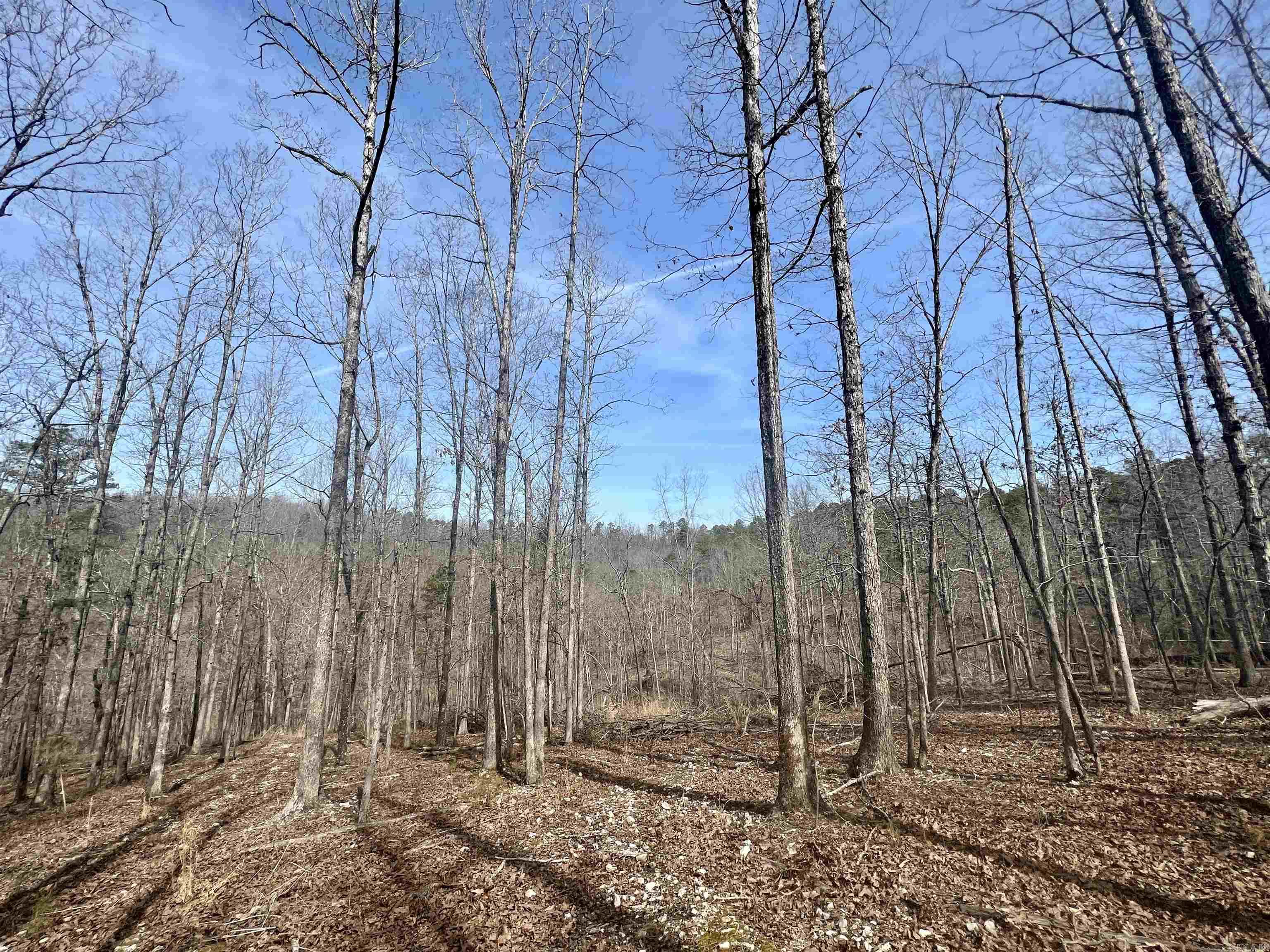 Tract 5  Ramblewood Trail  Yellville, AR